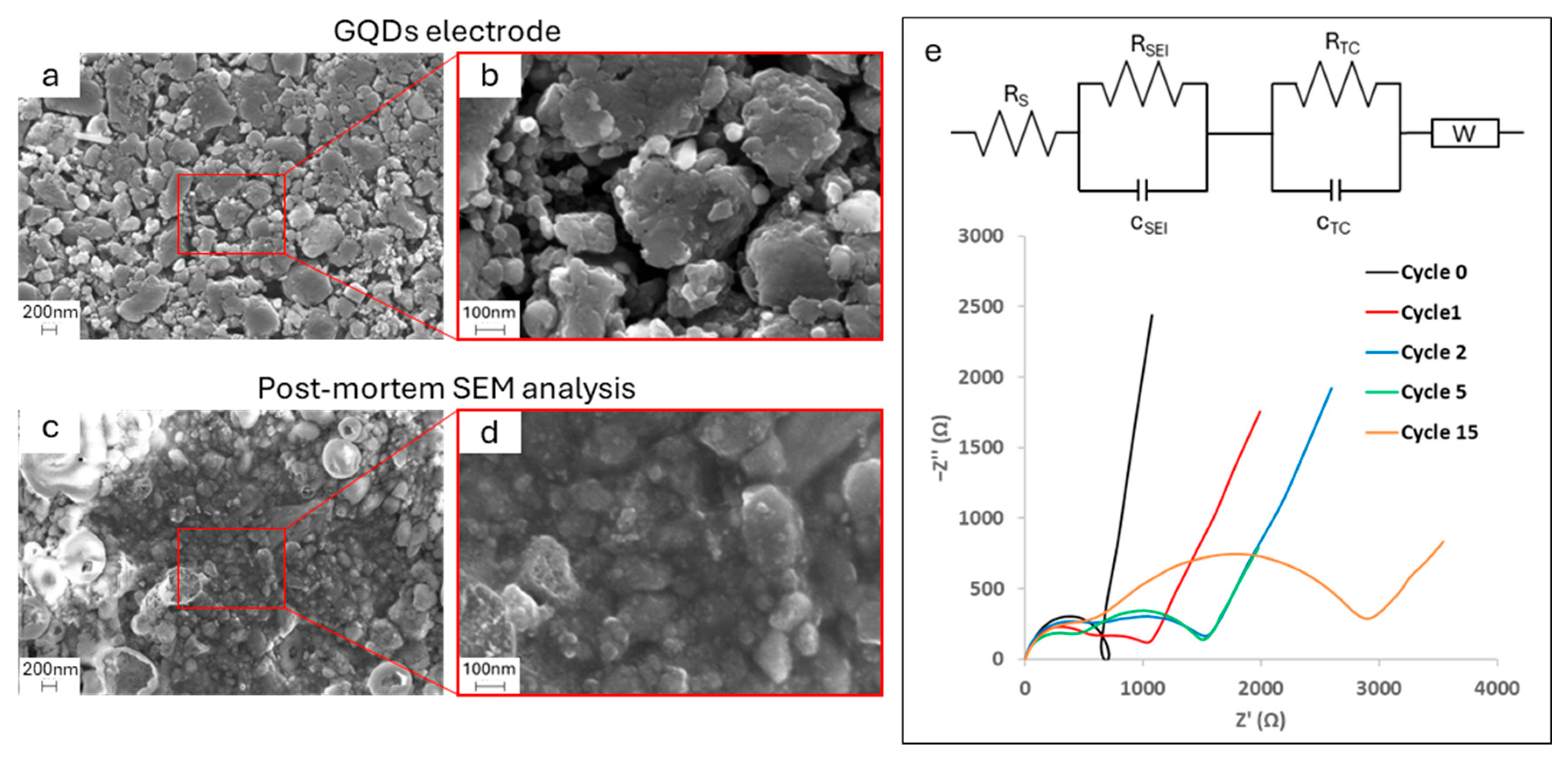 Molecules 29 05666 g013