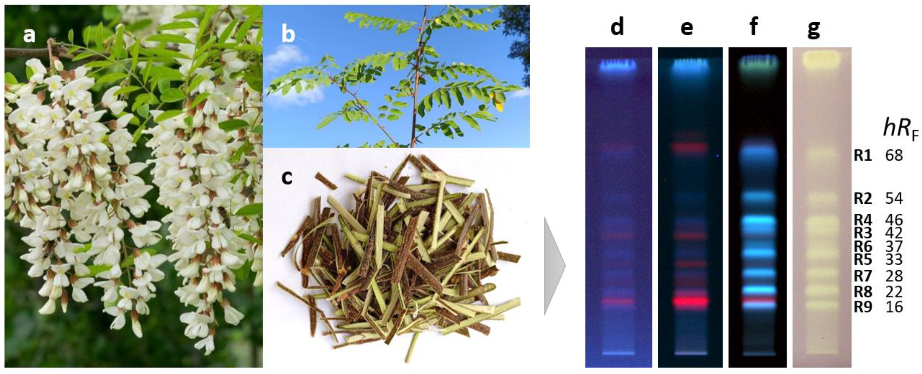 Molecules 29 05673 g001