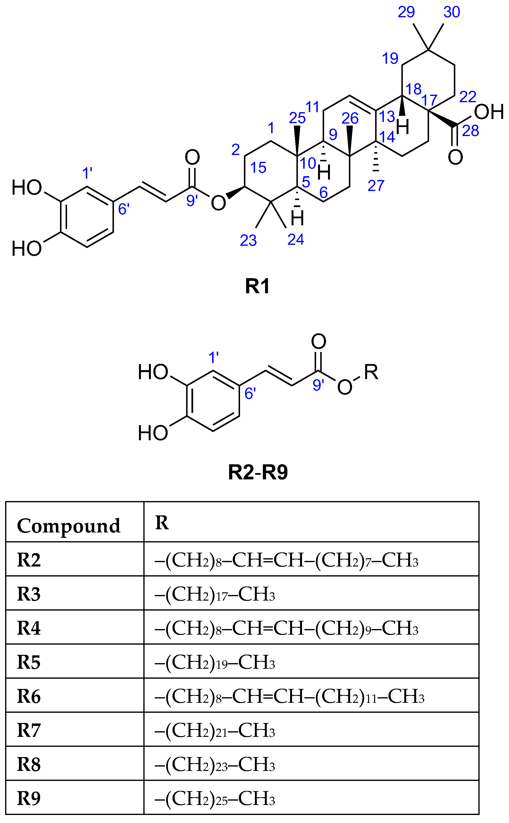 Molecules 29 05673 g003