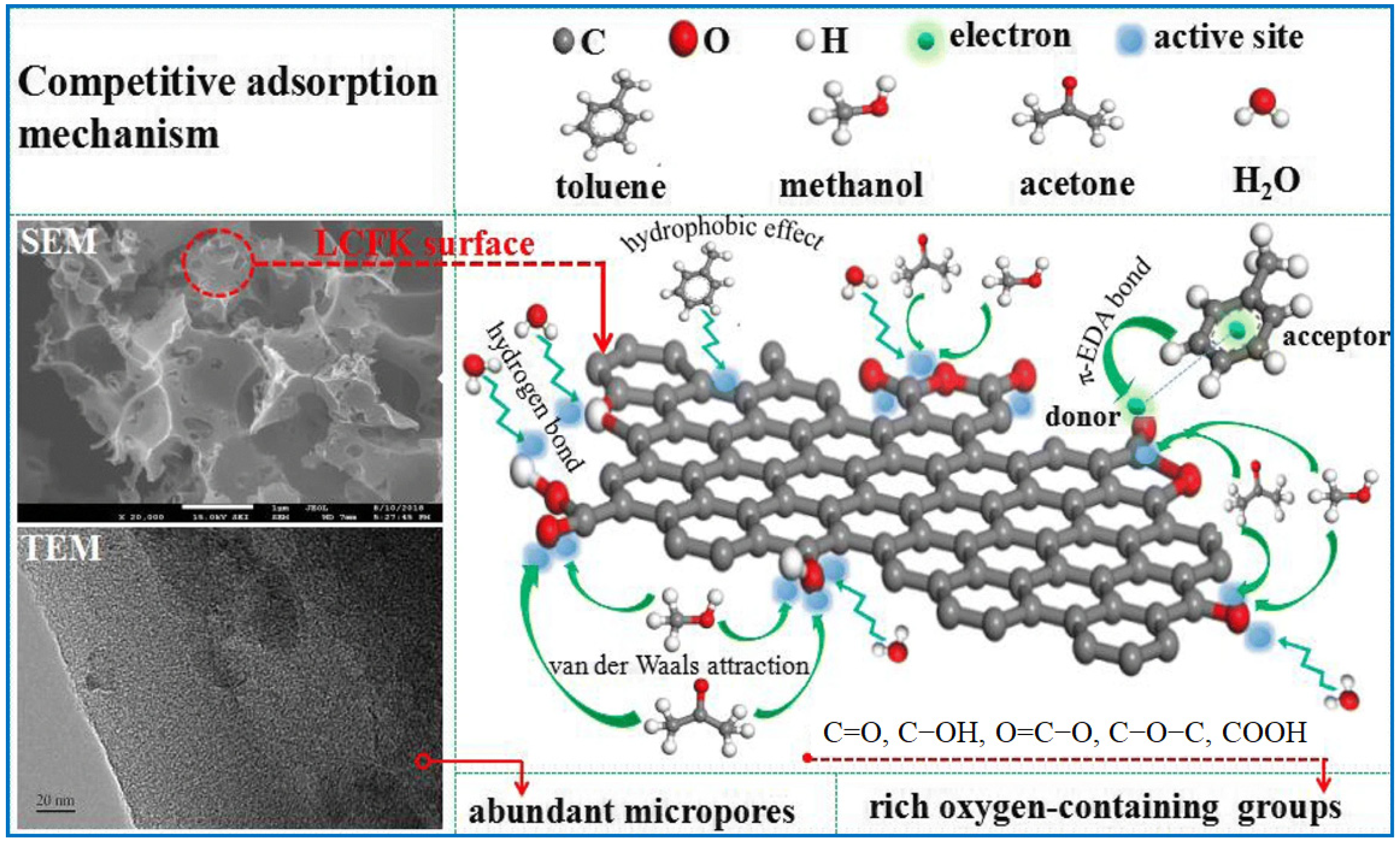 Molecules 29 05677 g004