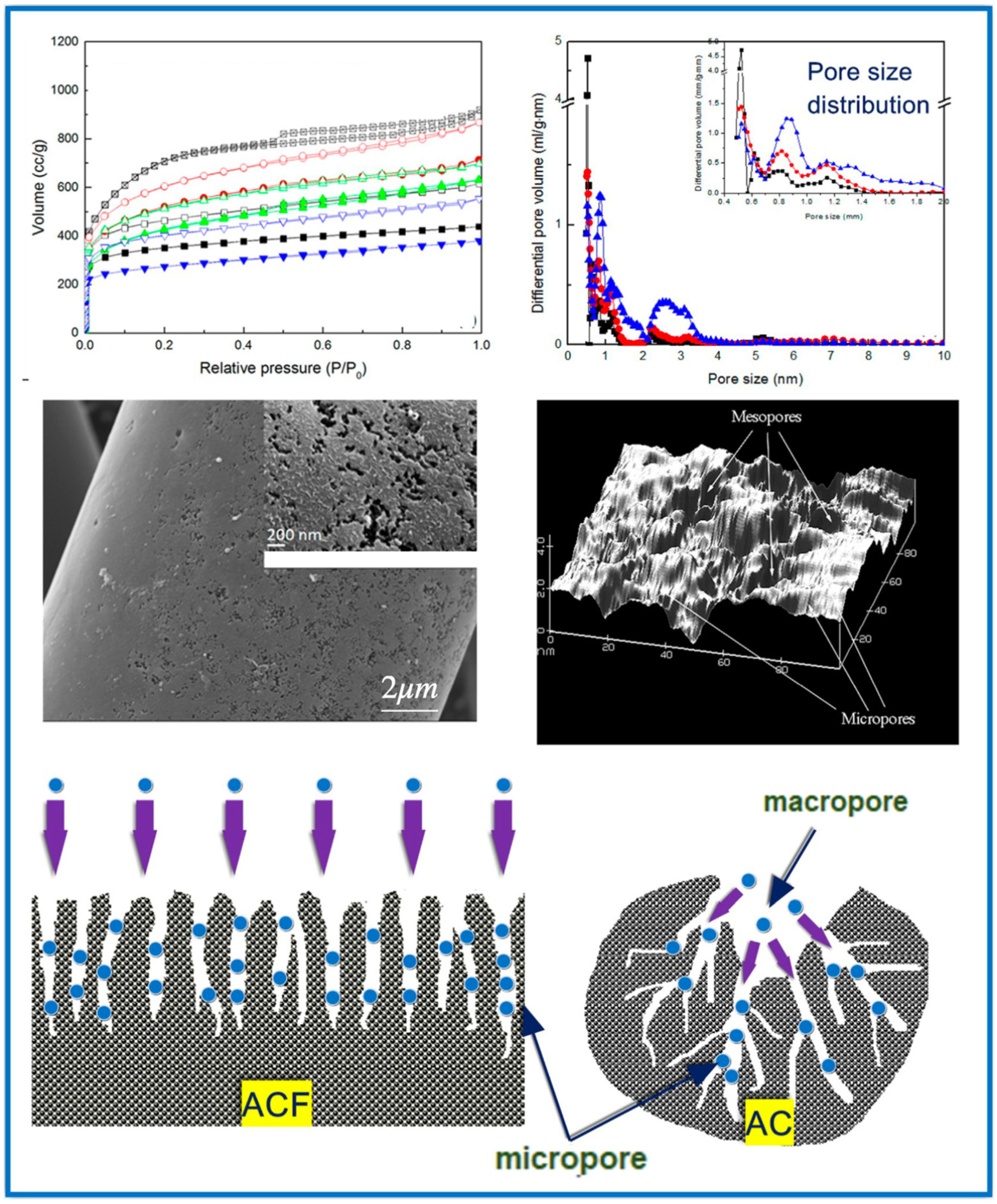 Molecules 29 05677 g009