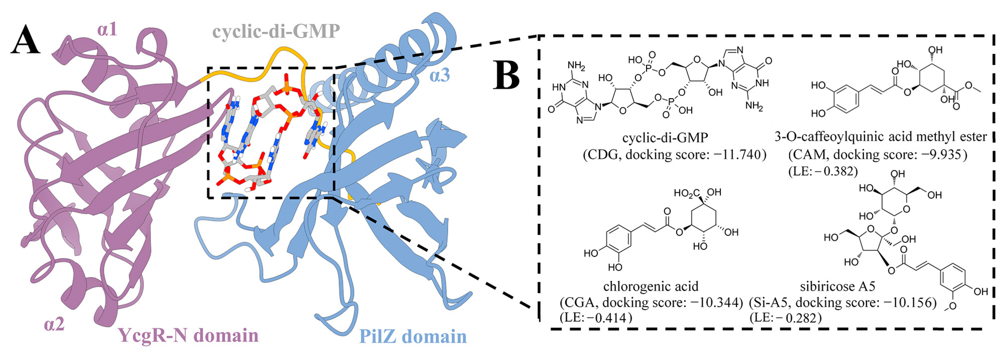 Molecules 29 05679 g001 Molecules 29 05679 g001