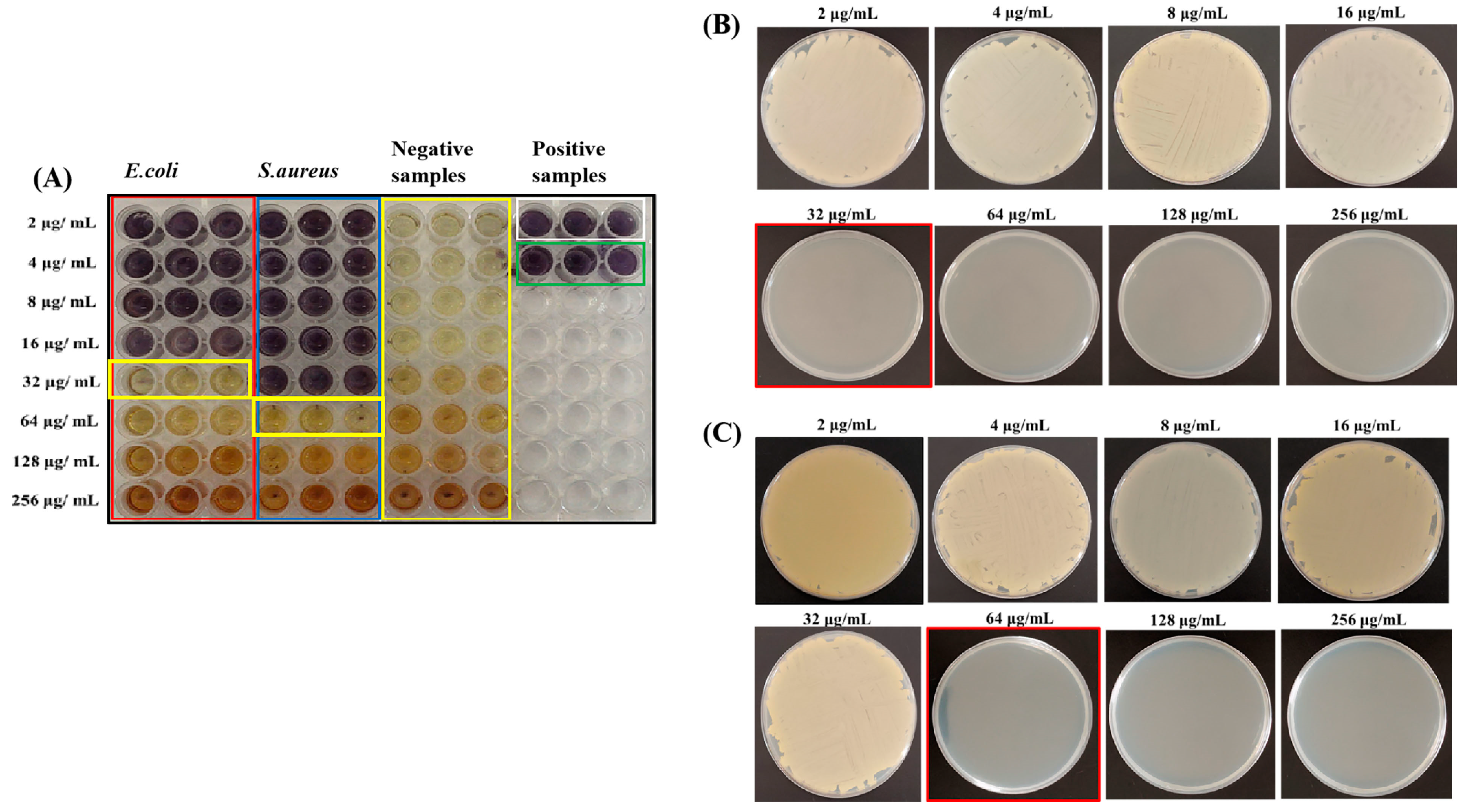 Molecules 29 05682 g007