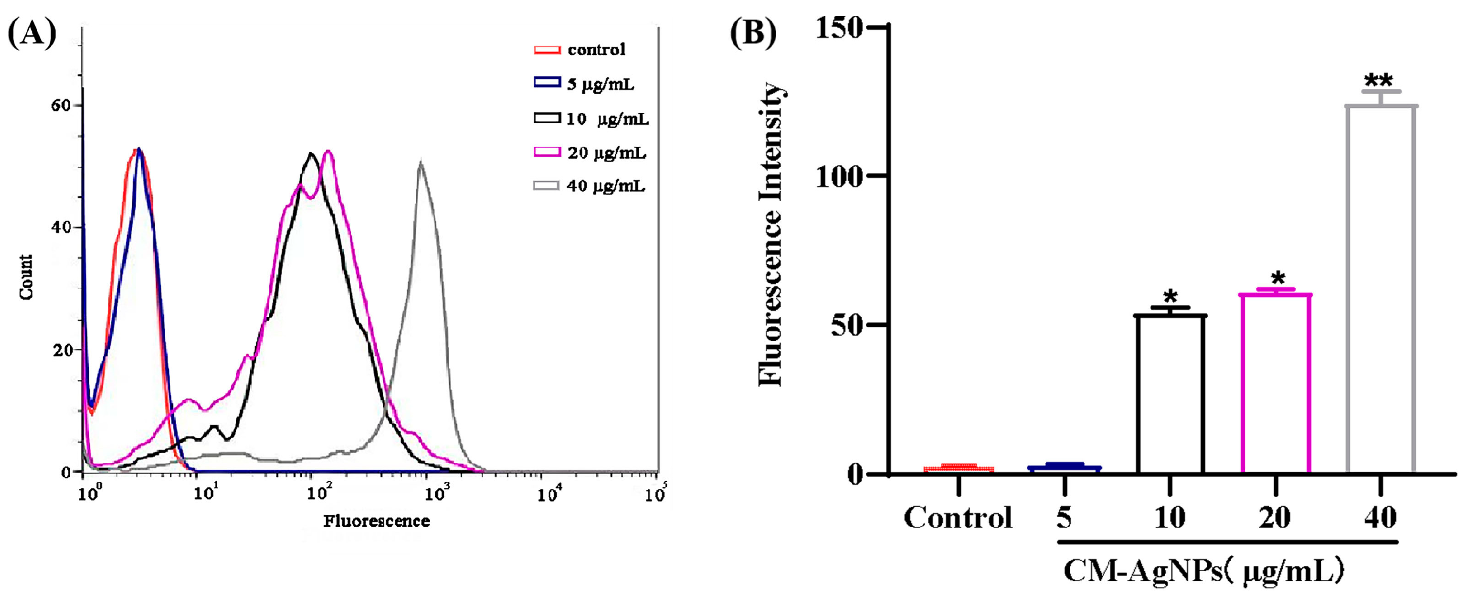 Molecules 29 05682 g012
