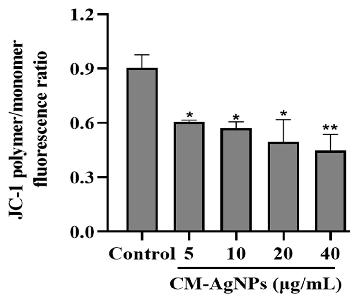 Molecules 29 05682 g013