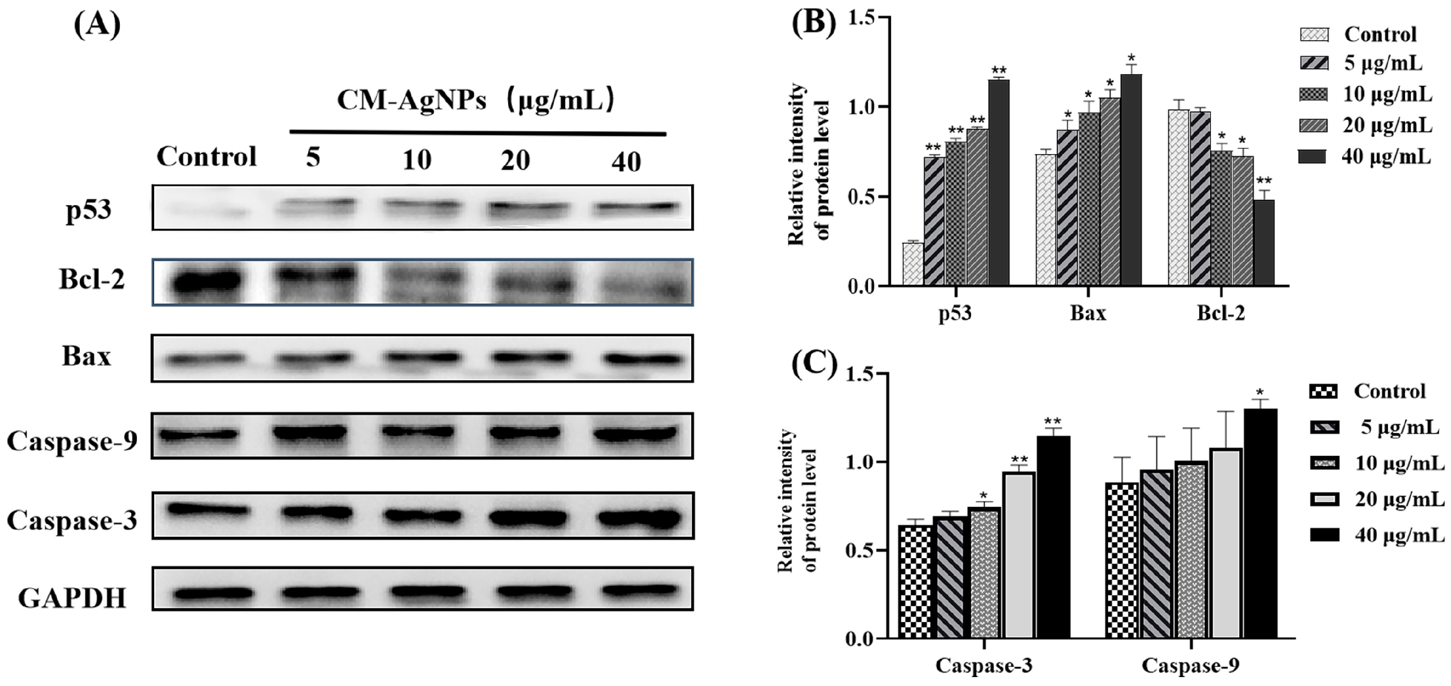 Molecules 29 05682 g014