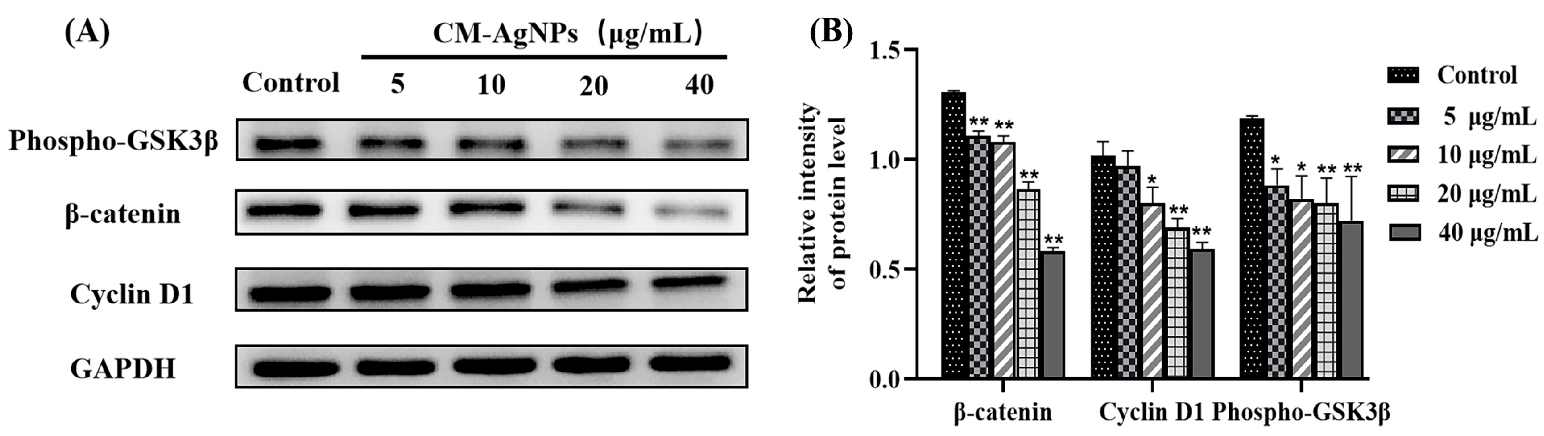 Molecules 29 05682 g015