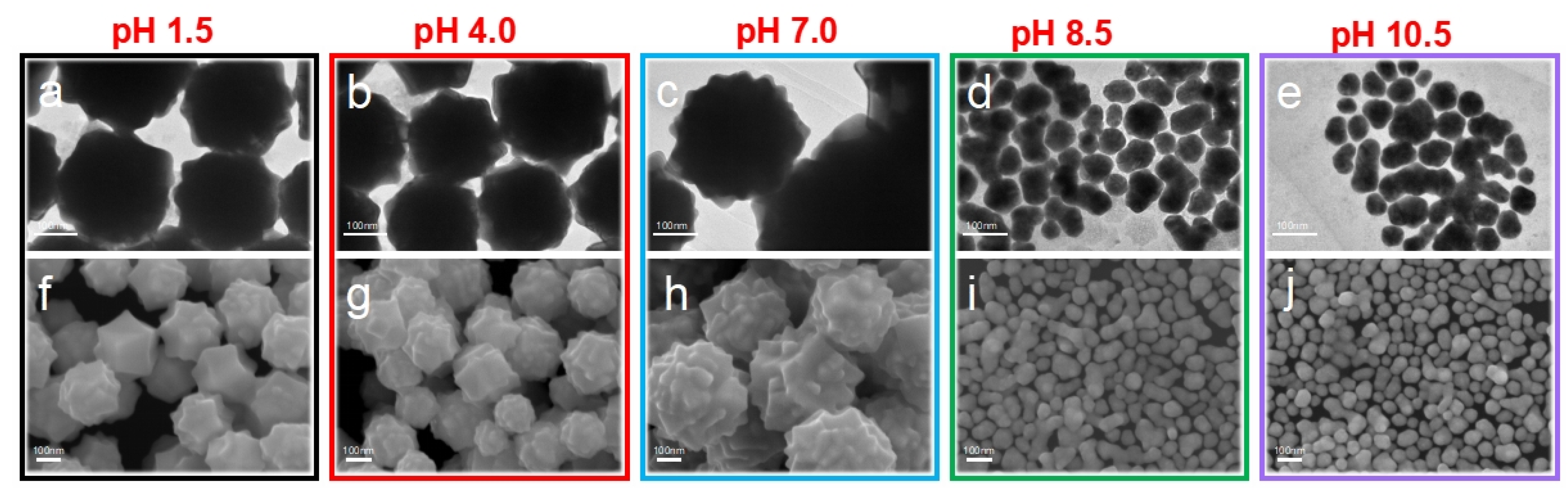 Molecules 29 05691 g001