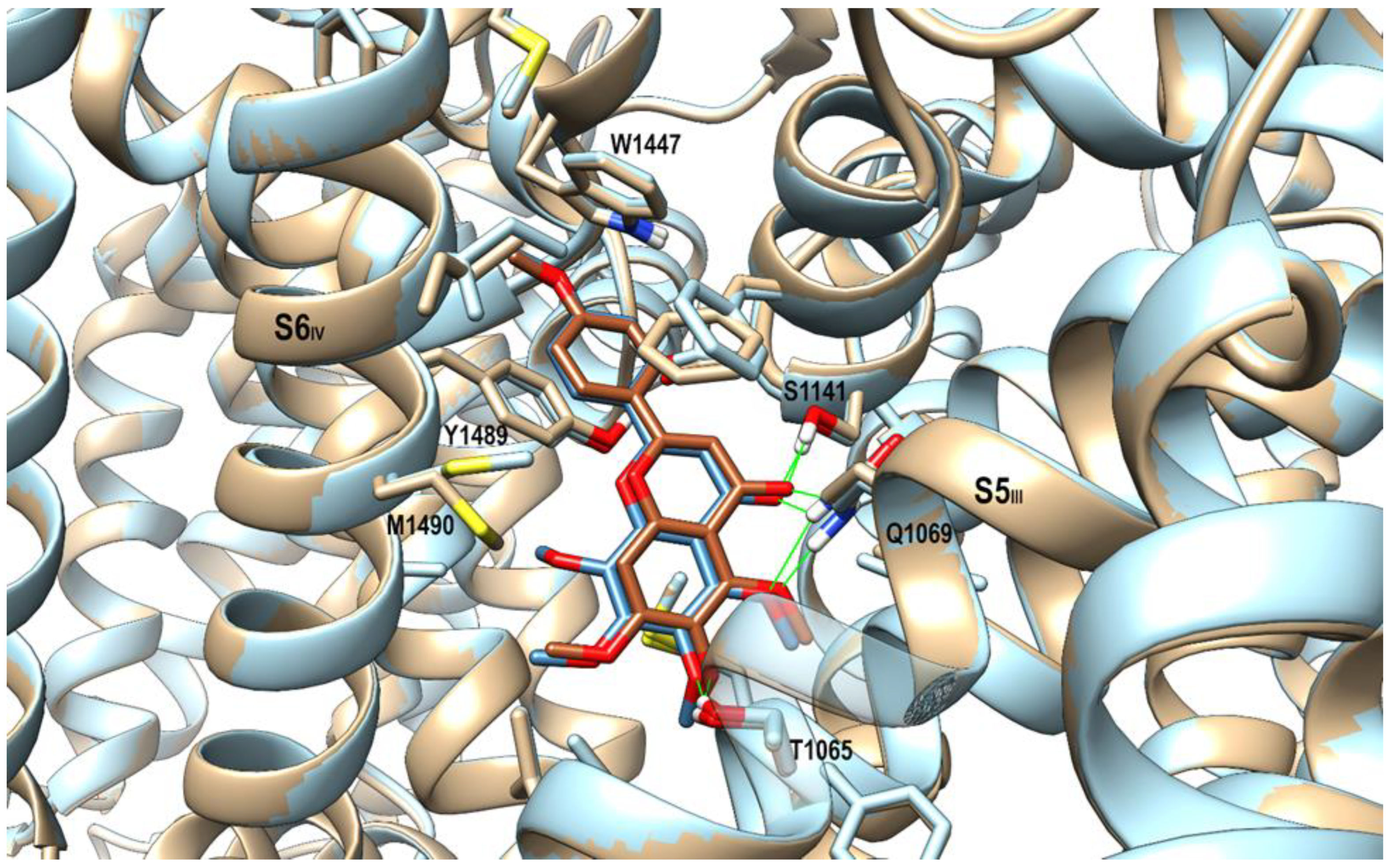 Molecules 29 05693 g007