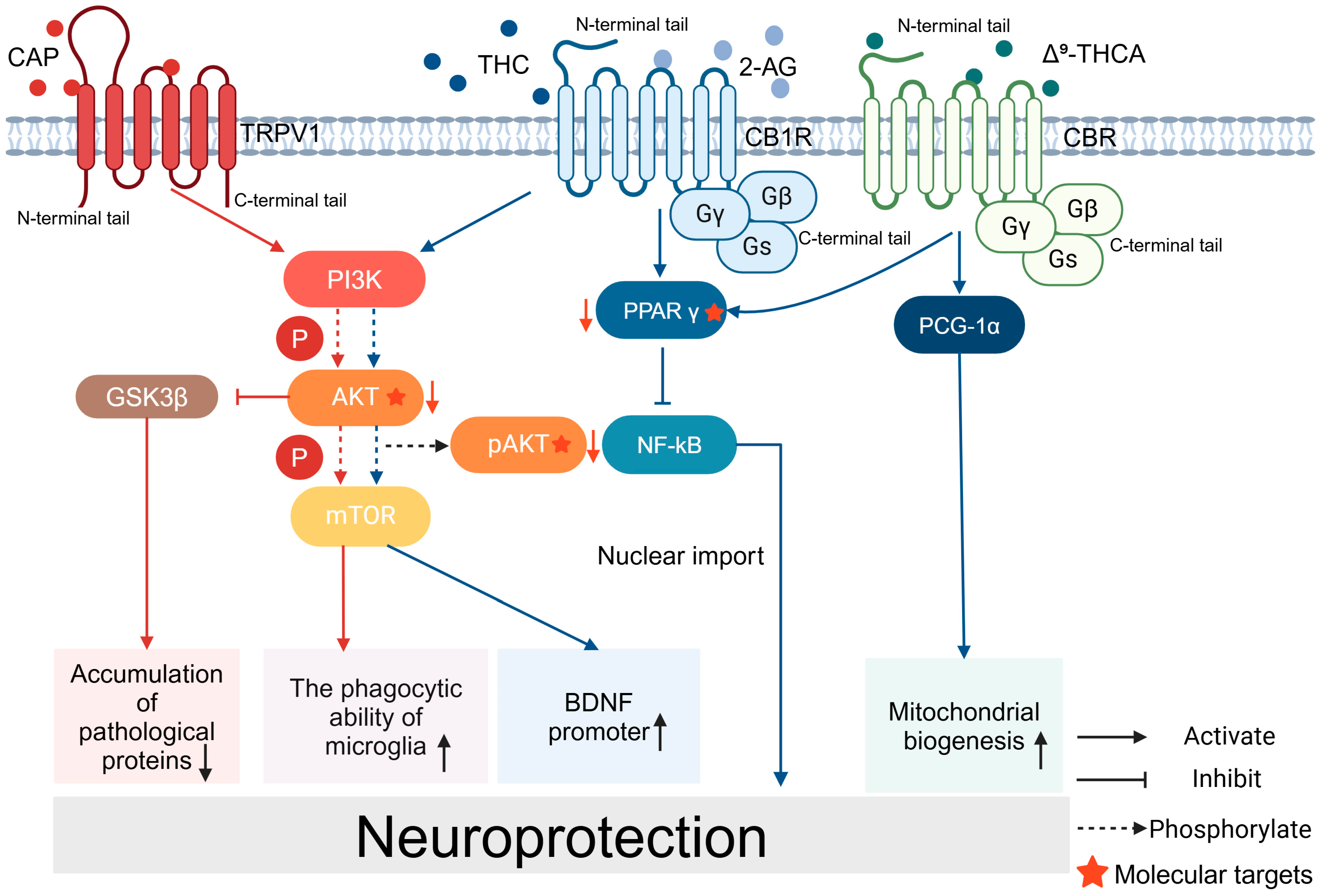 Molecules 29 05700 g002