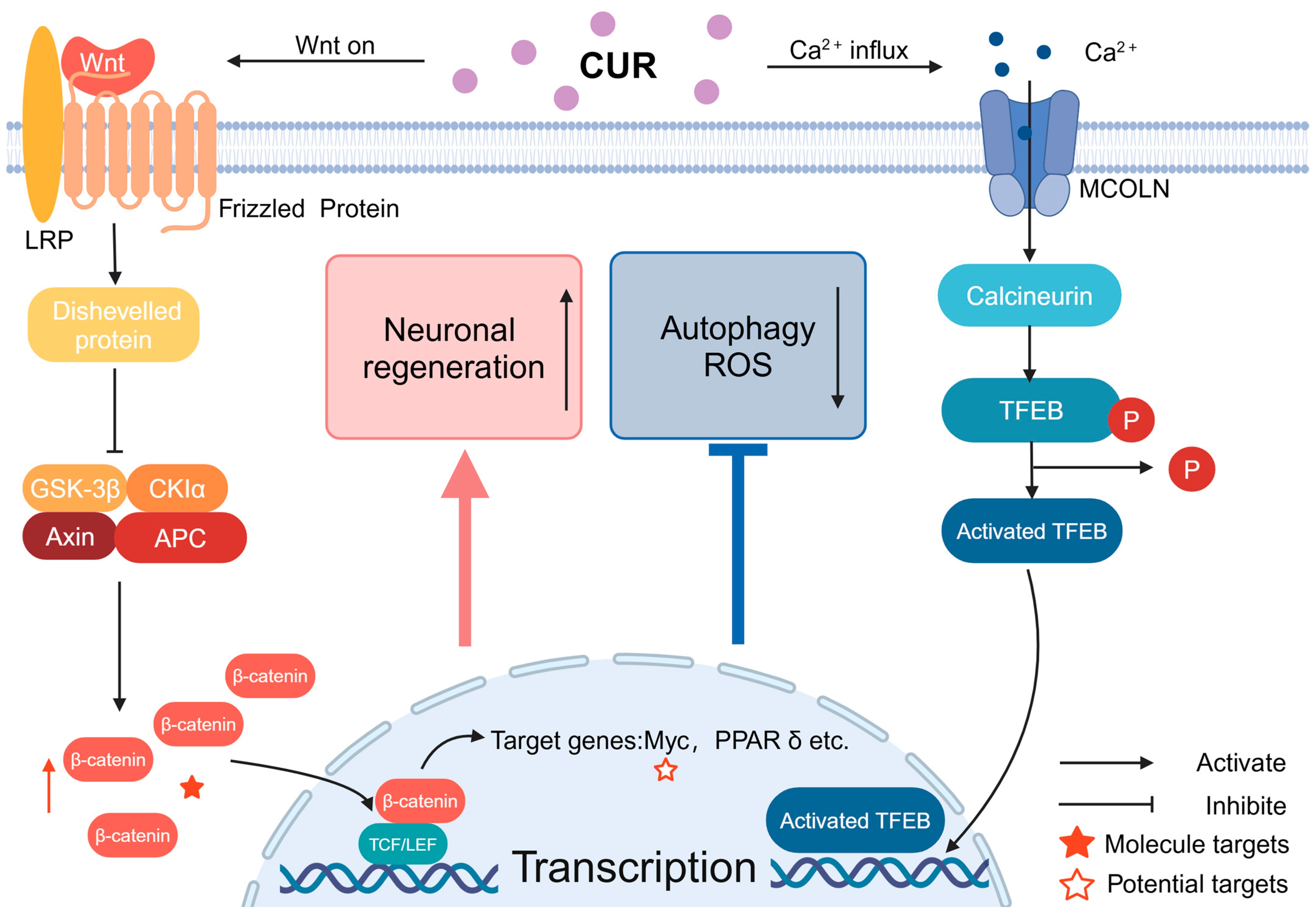 Molecules 29 05700 g003