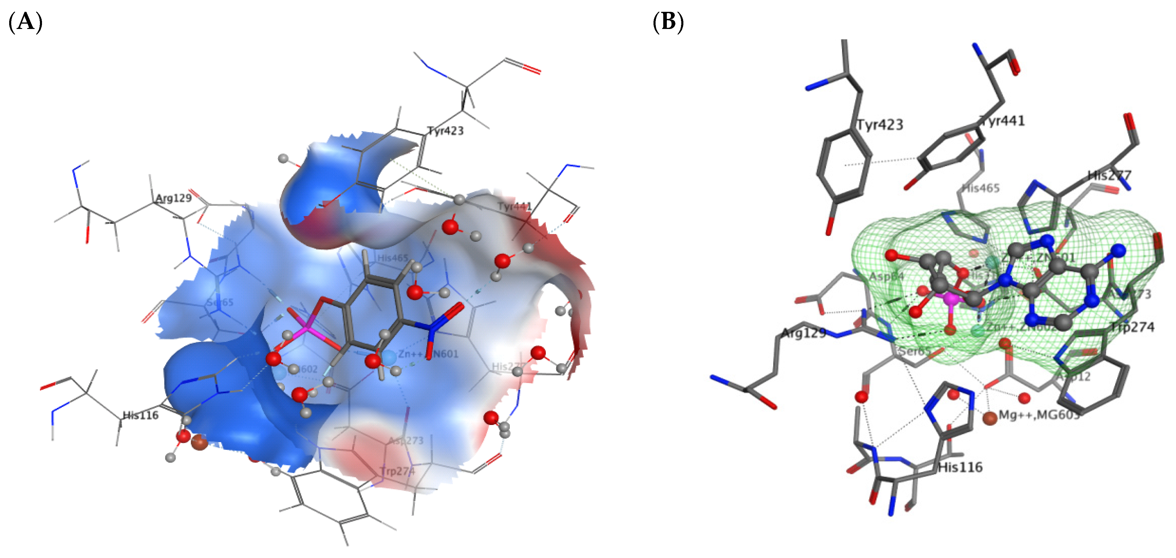 Molecules 29 05701 g003