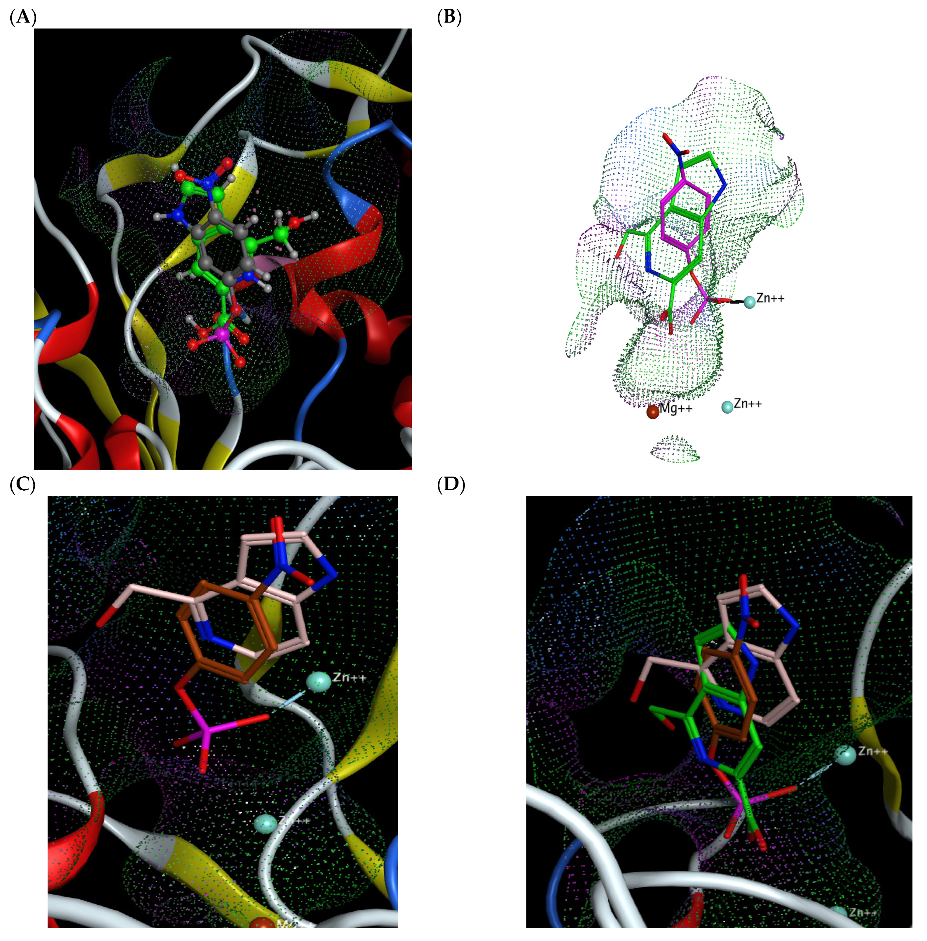 Molecules 29 05701 g004