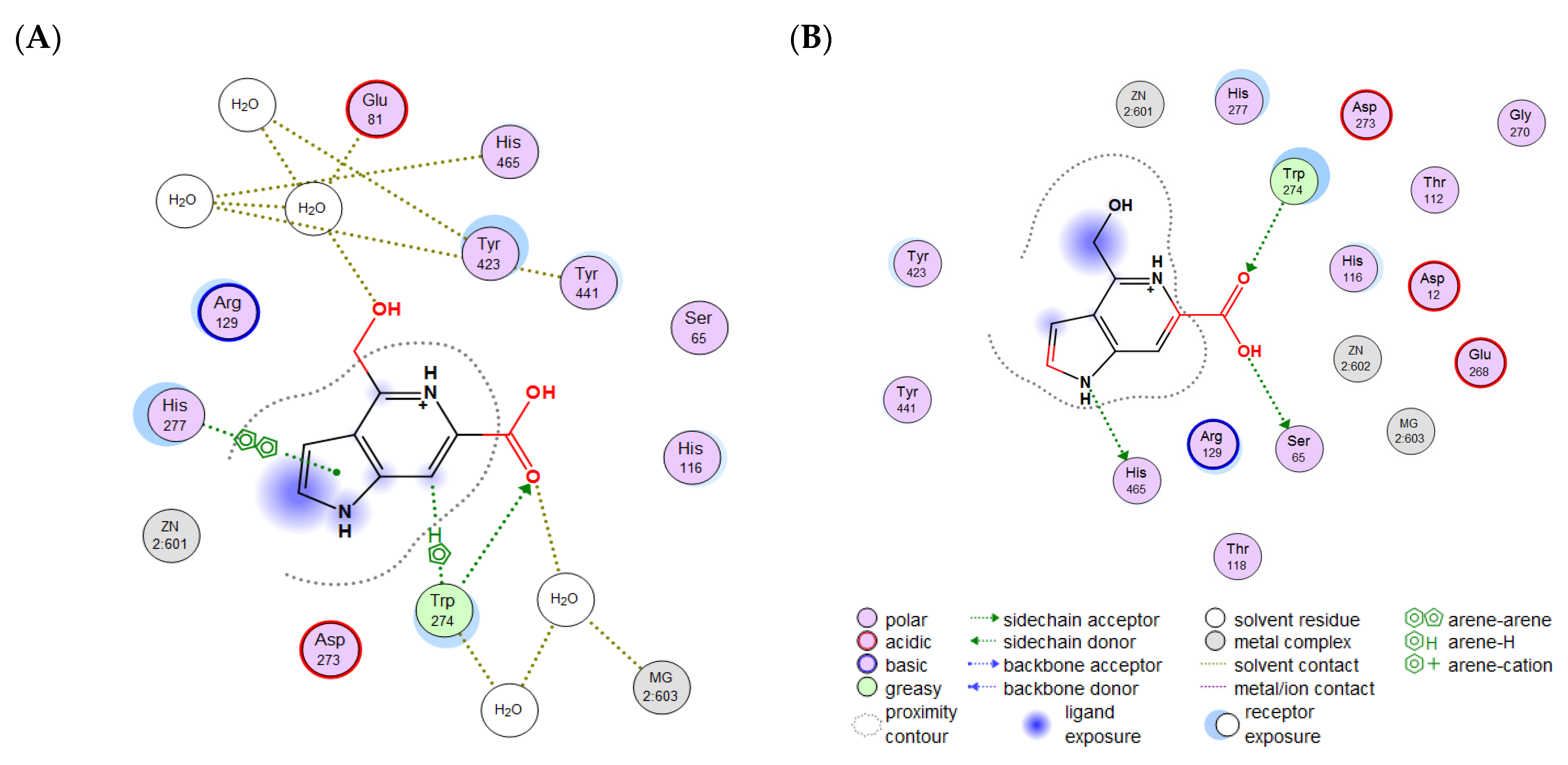 Molecules 29 05701 g005a
