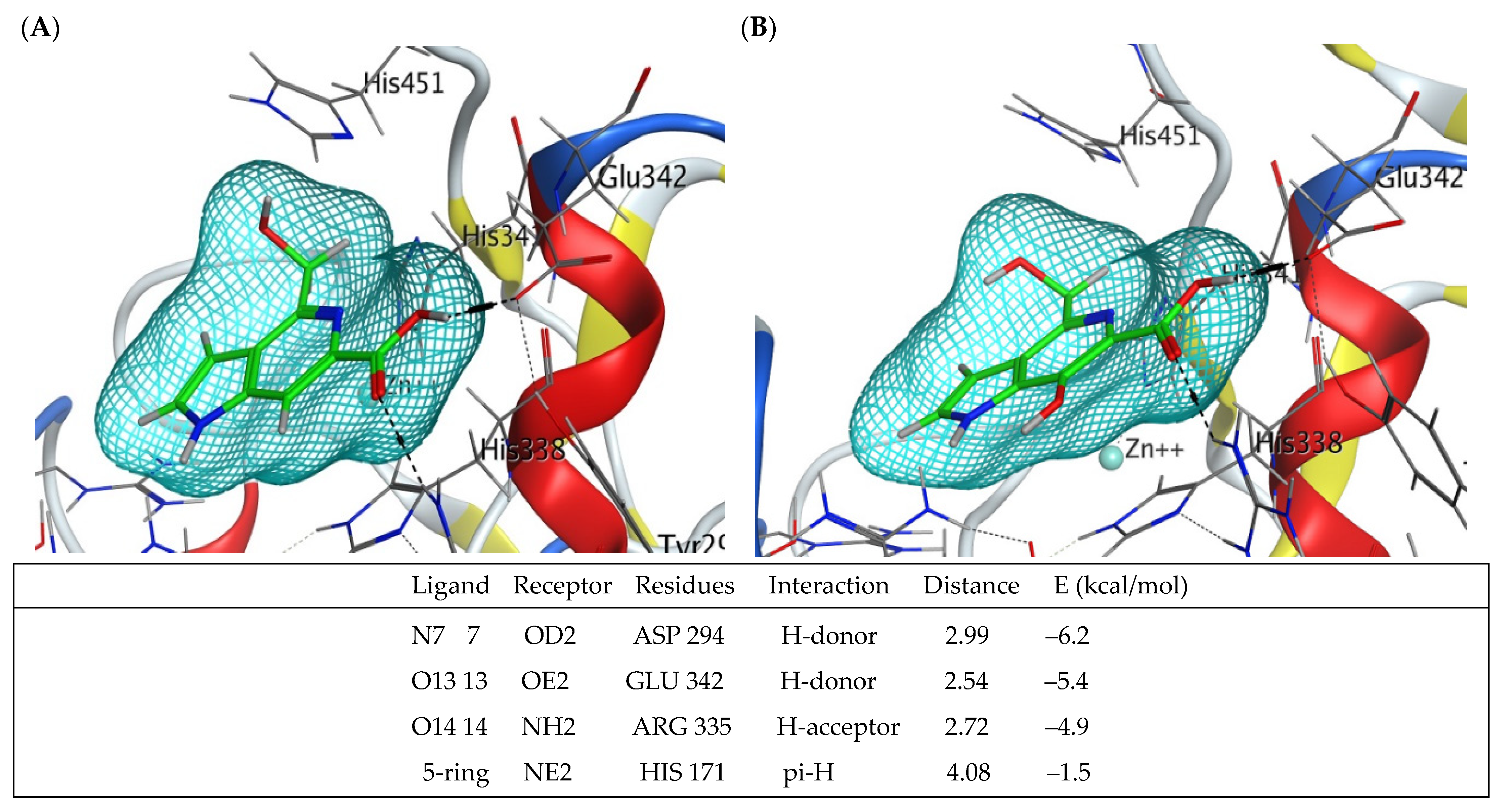Molecules 29 05701 g008