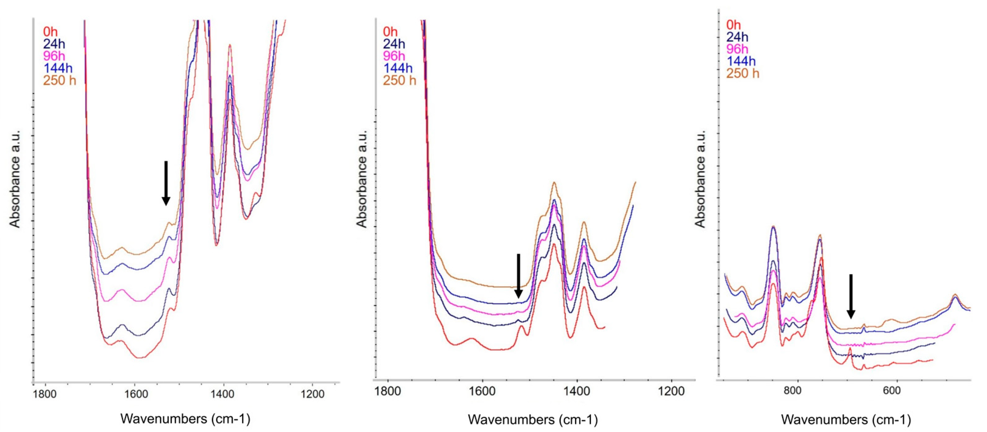 Molecules 29 05702 g008