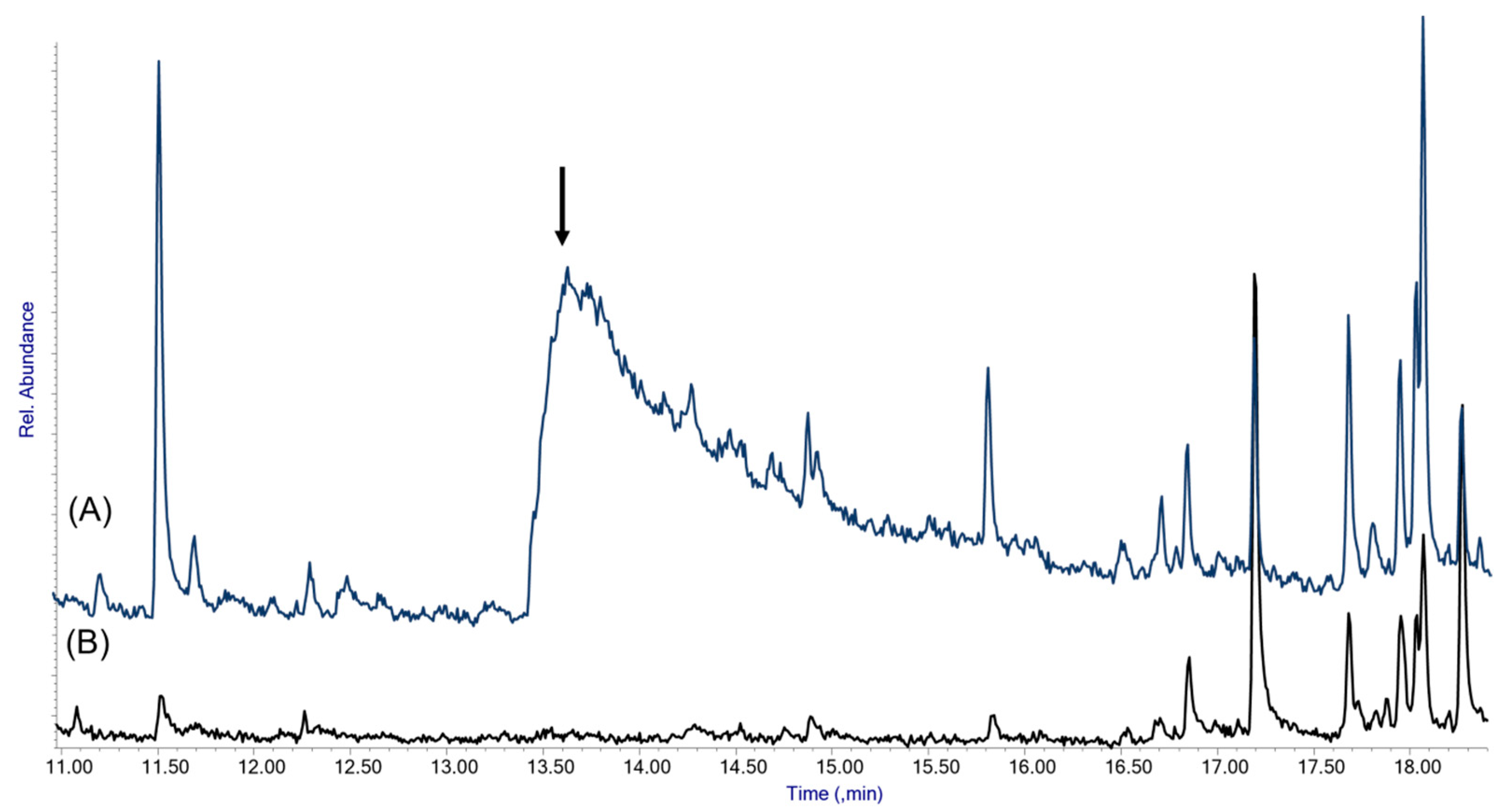 Molecules 29 05702 g010