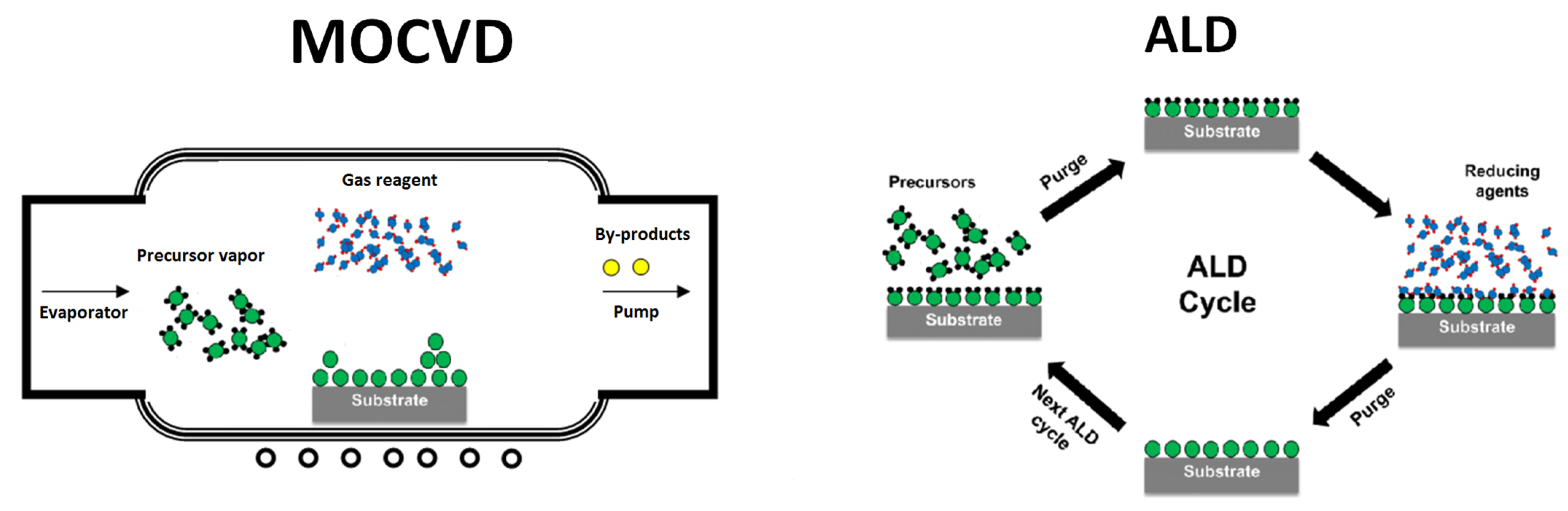 Molecules 29 05705 g001