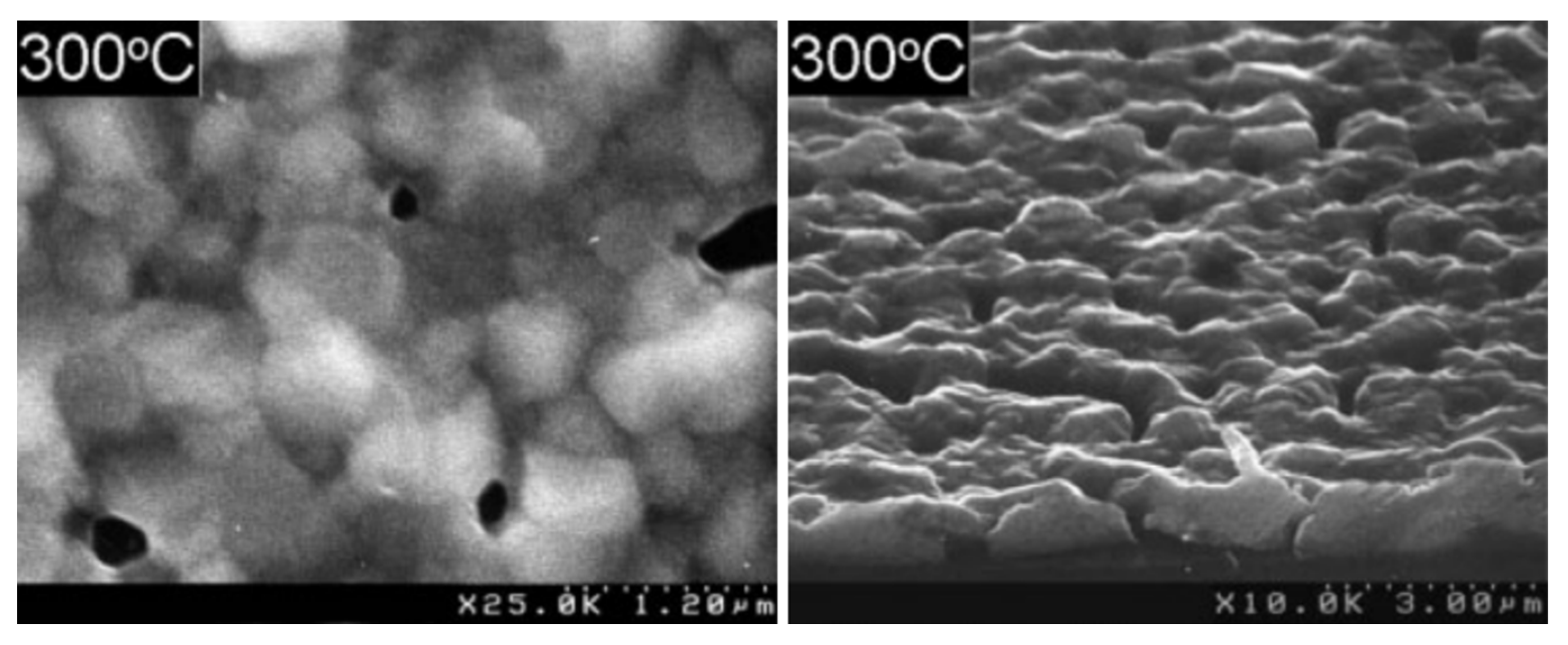 Molecules 29 05705 g016