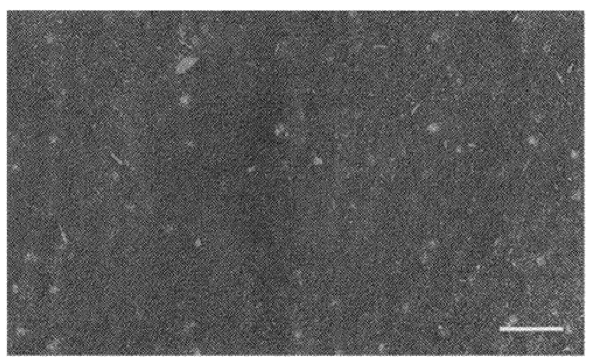 Molecules 29 05705 g017