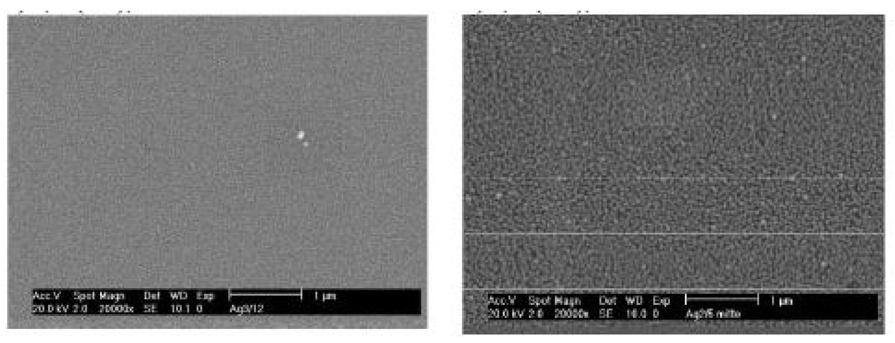Molecules 29 05705 g020