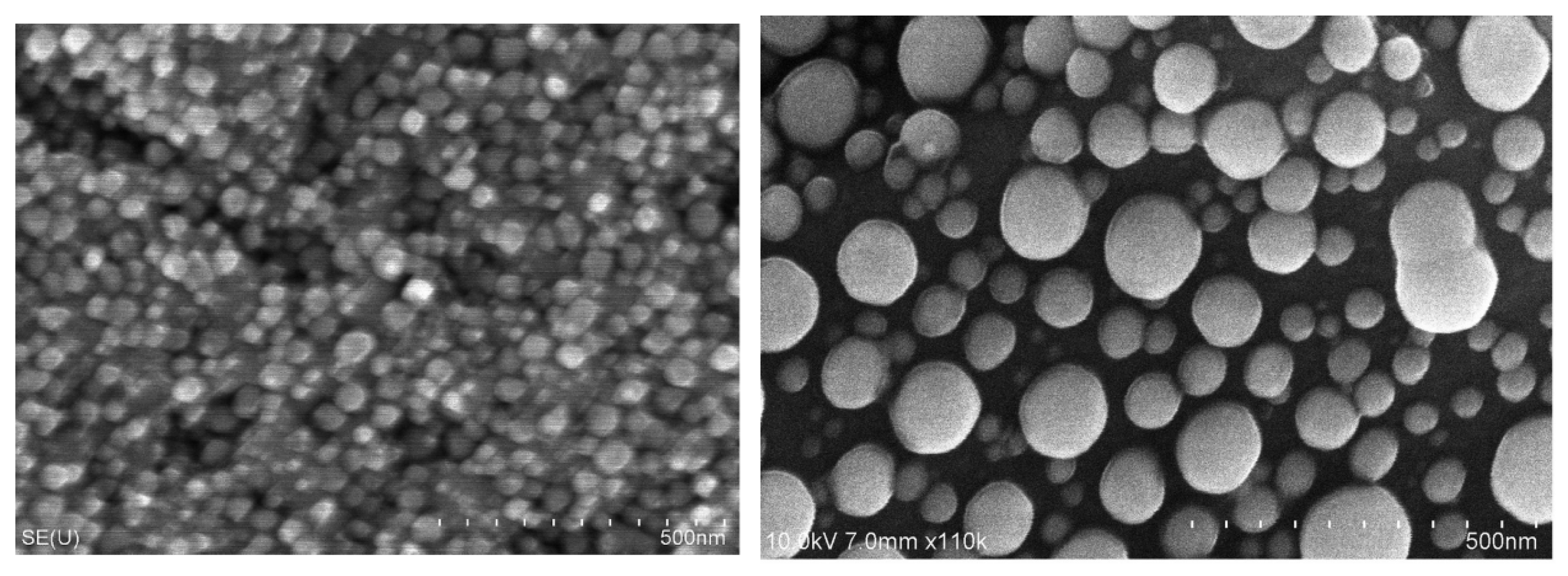 Molecules 29 05705 g021