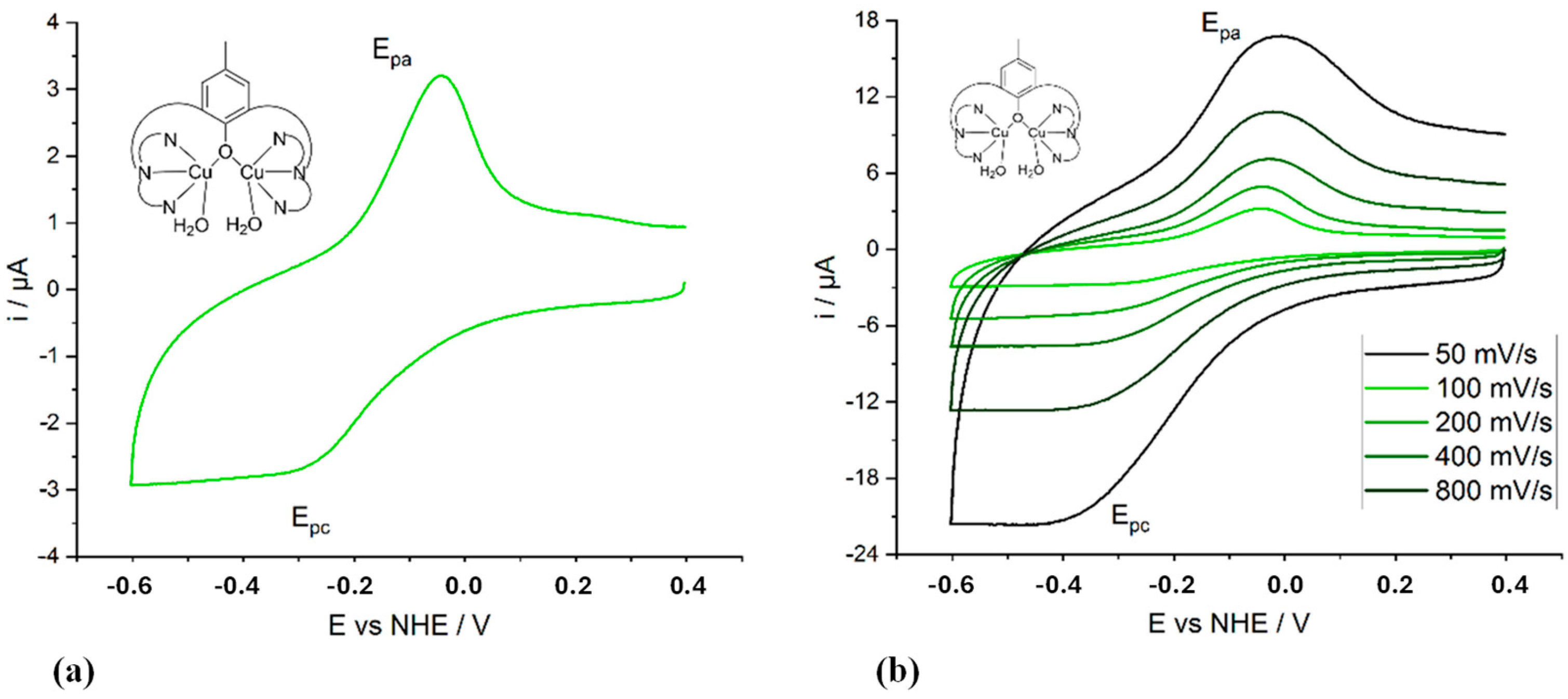 Molecules 29 05708 g004