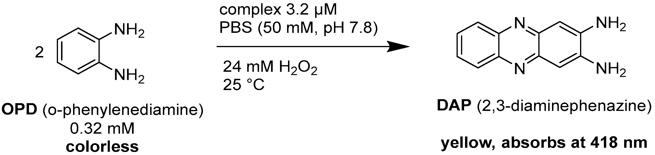 Molecules 29 05708 sch004