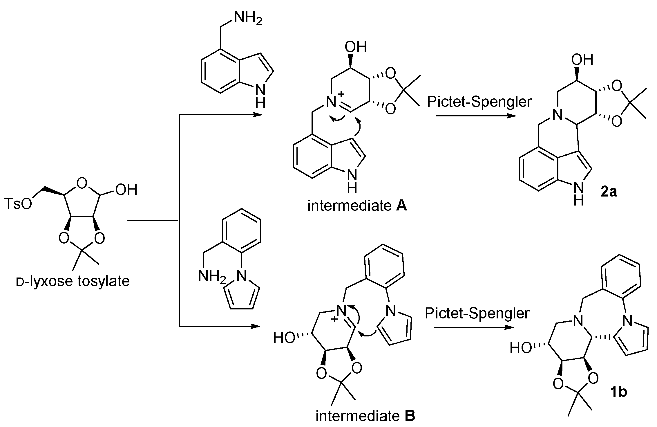 Molecules 29 05709 sch003