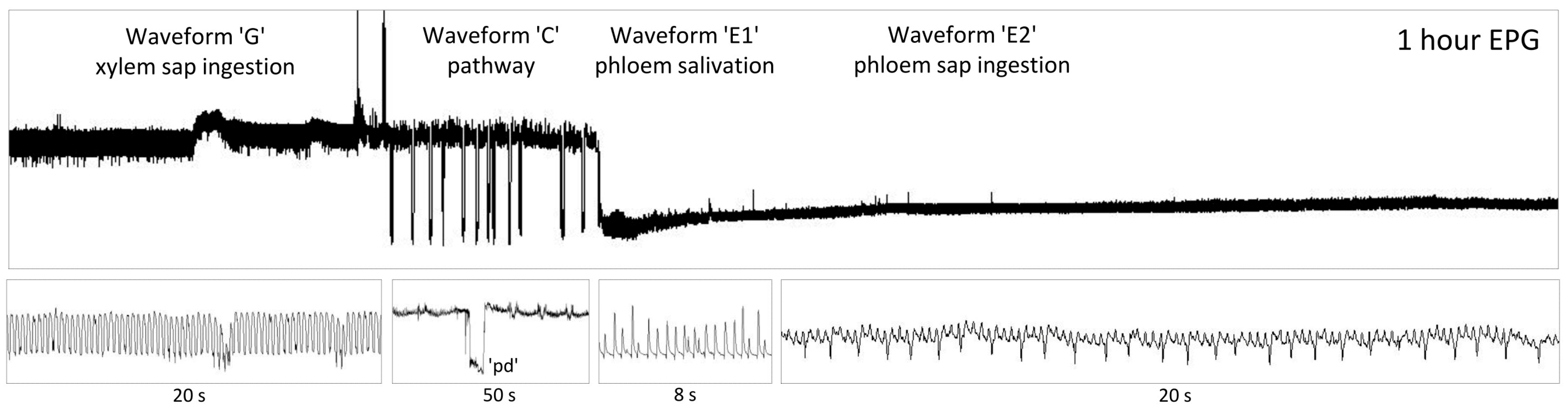 Molecules 29 05715 g002