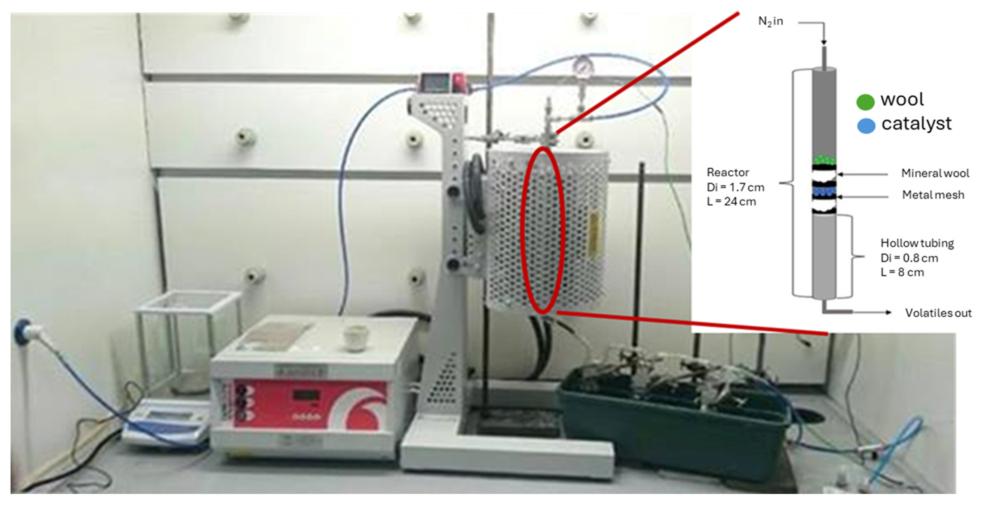 Molecules 29 05719 g012