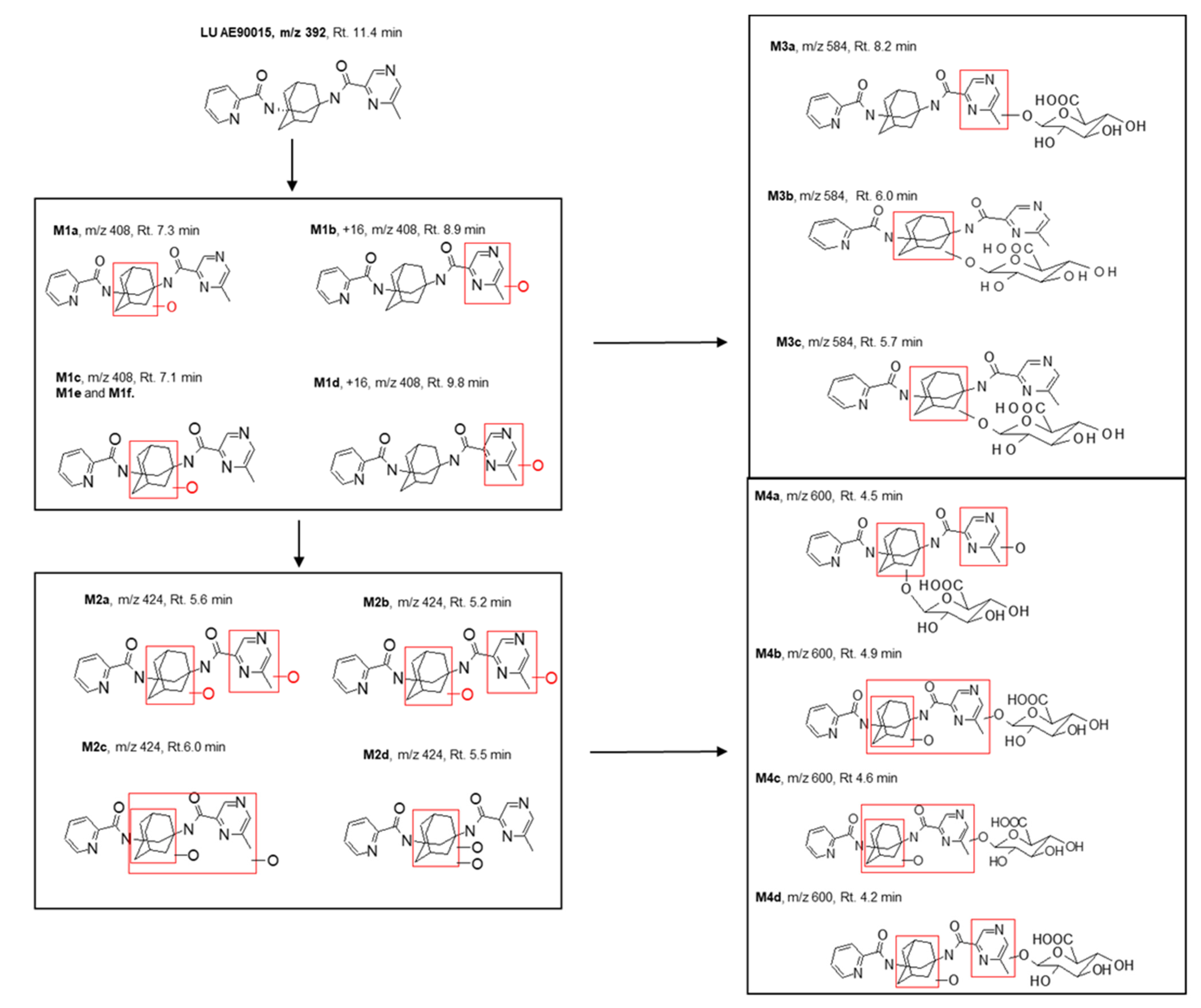 Molecules 29 05724 g004 Molecules 29 05724 g004