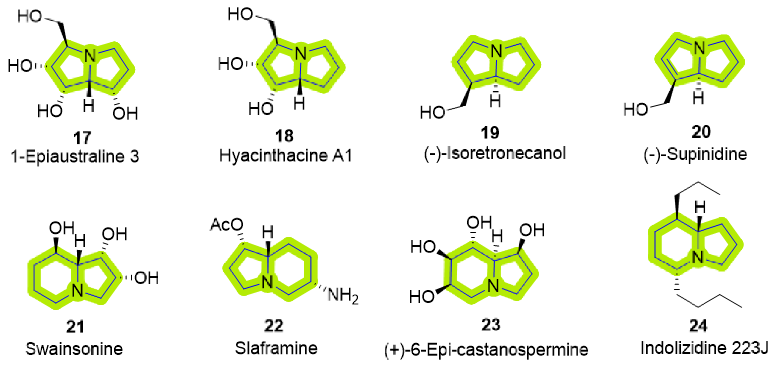 Molecules 29 05726 g003 Molecules 29 05726 g003