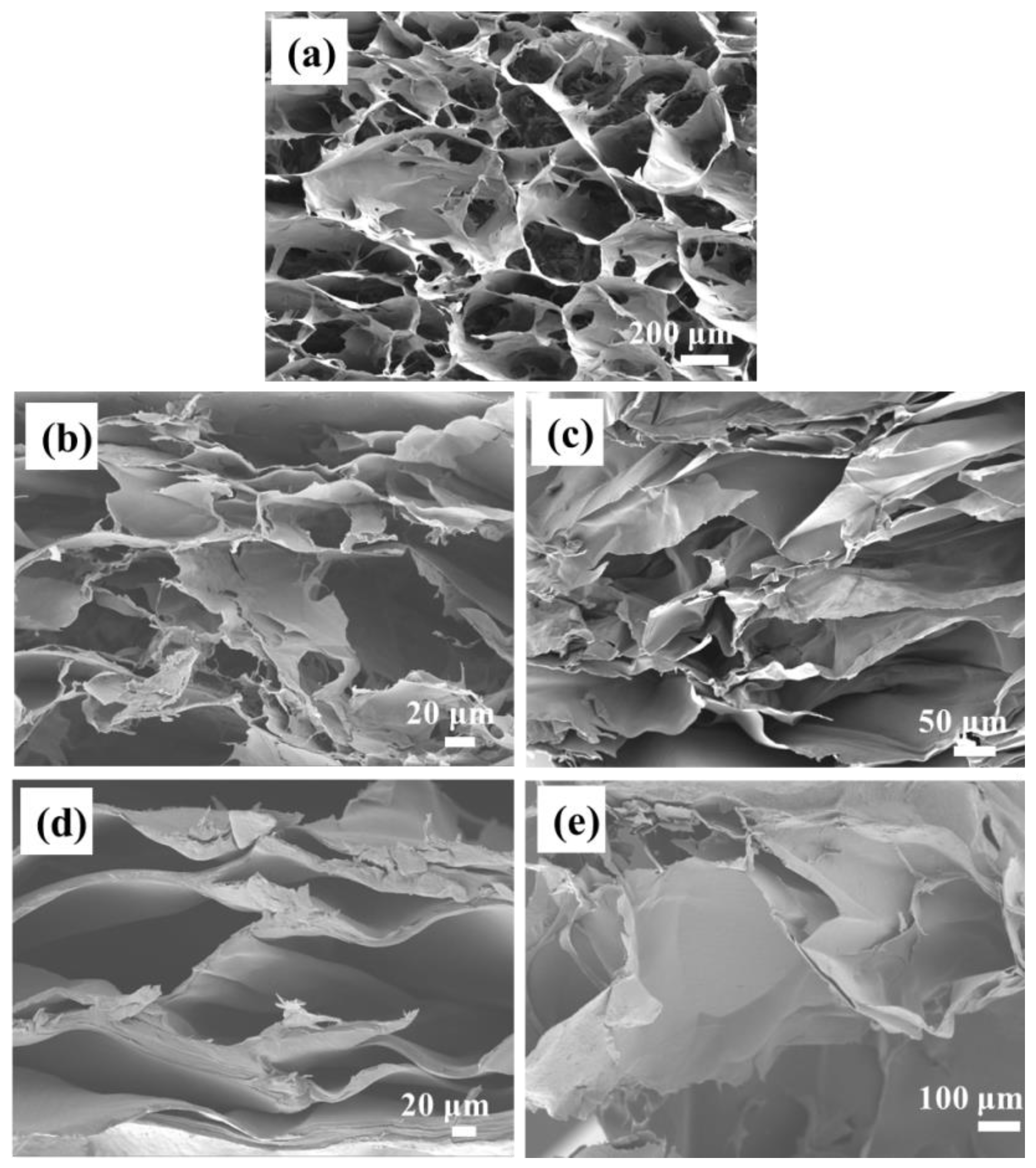 Molecules 29 05728 g001 Molecules 29 05728 g001