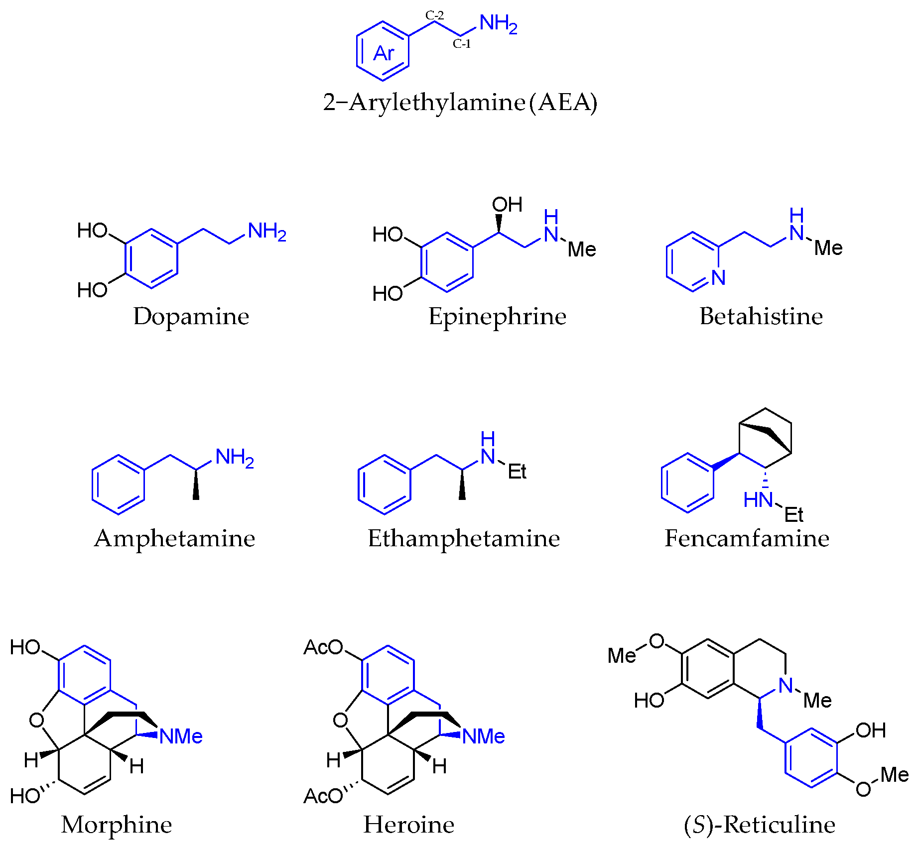 Molecules 29 05729 g001 Molecules 29 05729 g001