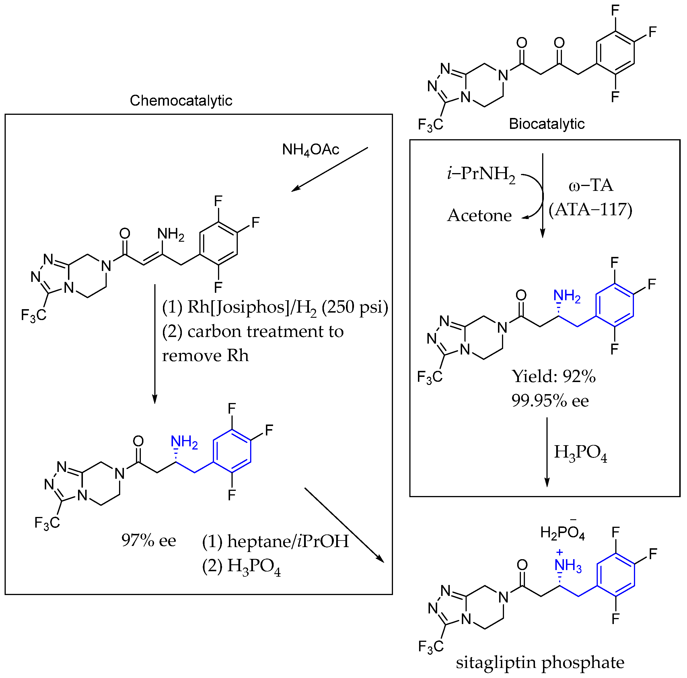 Molecules 29 05729 sch035 Molecules 29 05729 sch035