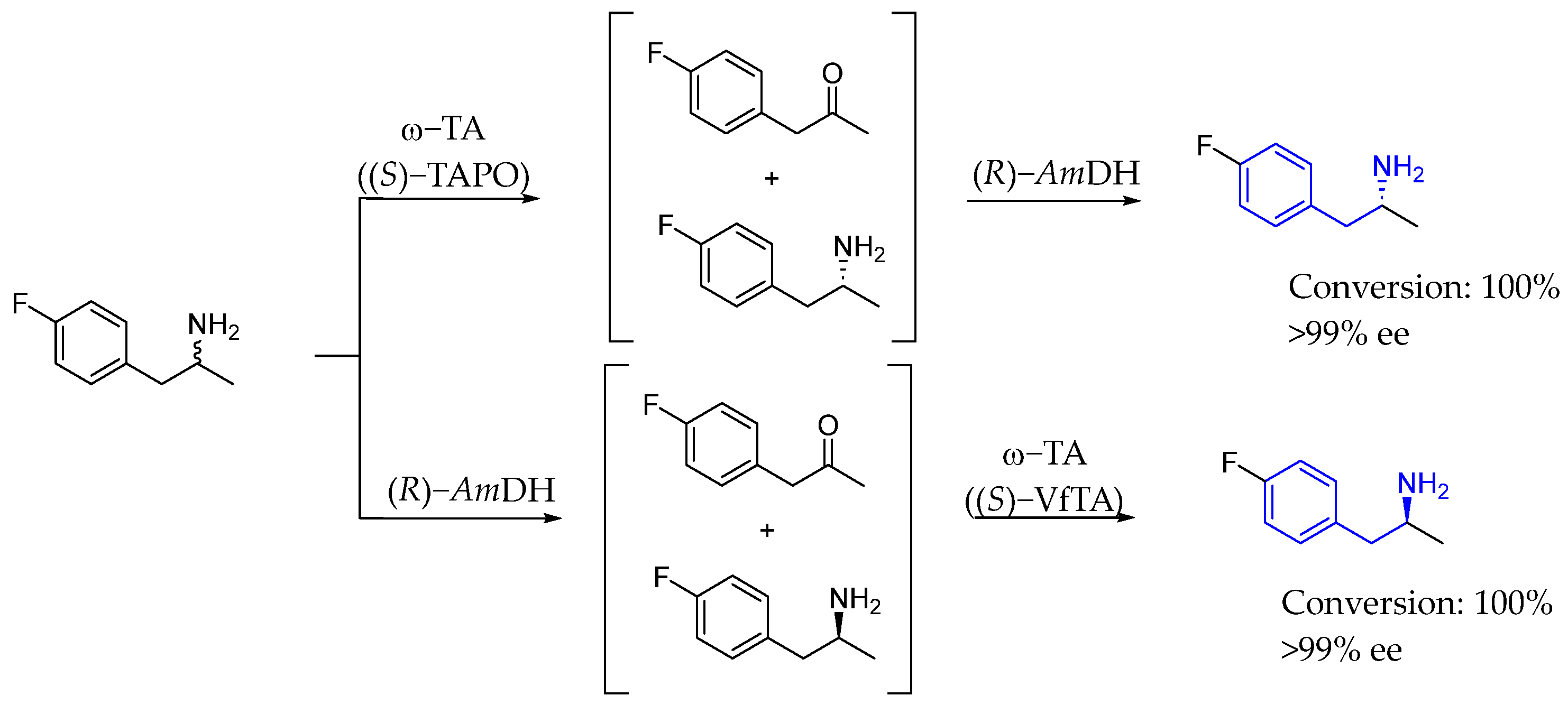 Molecules 29 05729 sch041 Molecules 29 05729 sch041