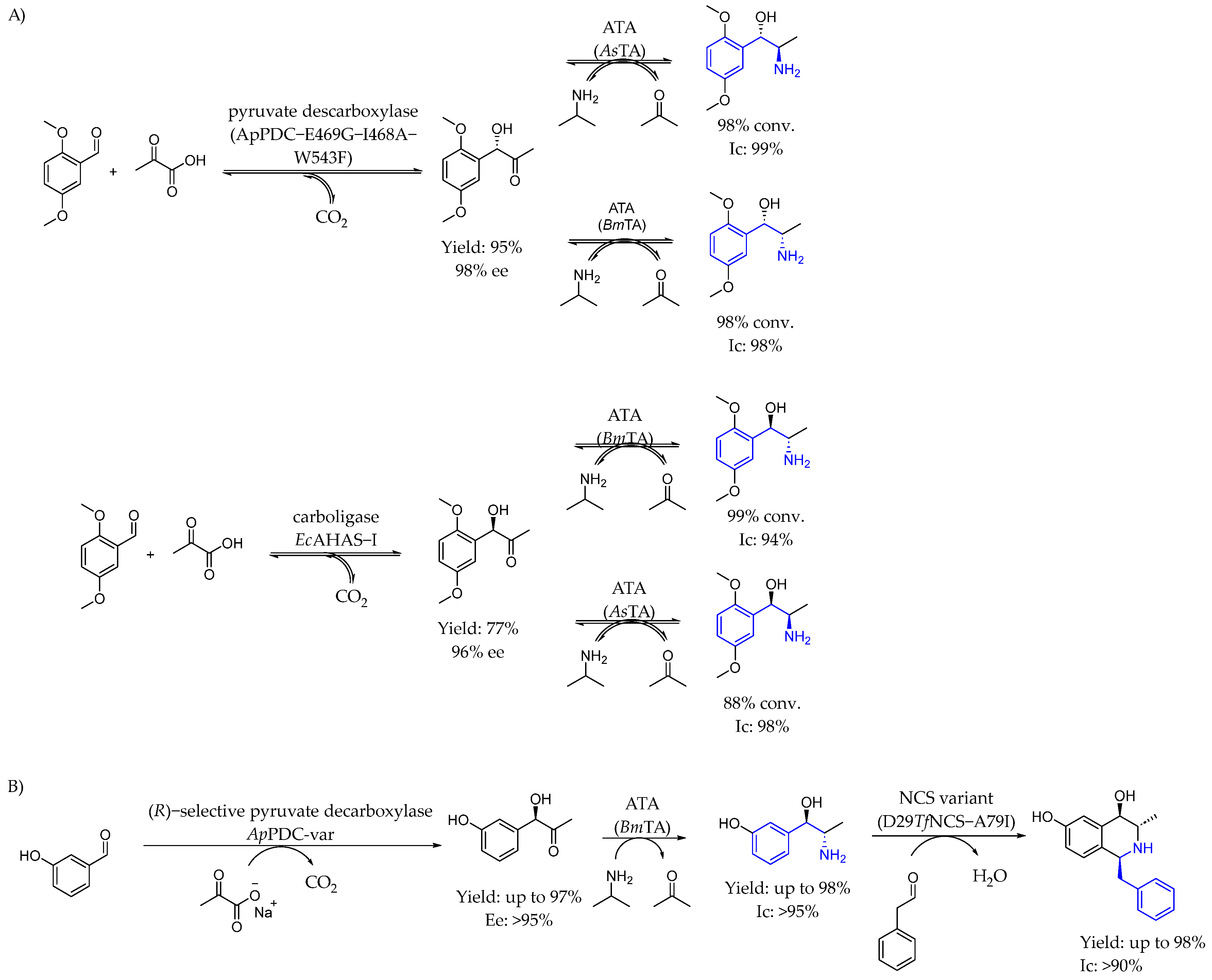 Molecules 29 05729 sch042 Molecules 29 05729 sch042