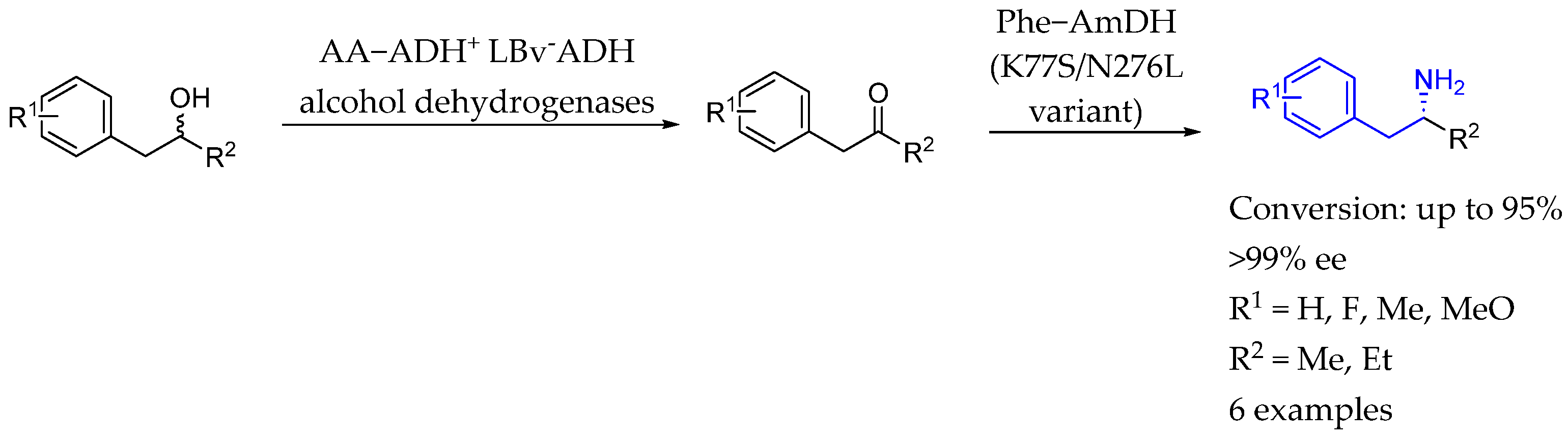 Molecules 29 05729 sch051 Molecules 29 05729 sch051