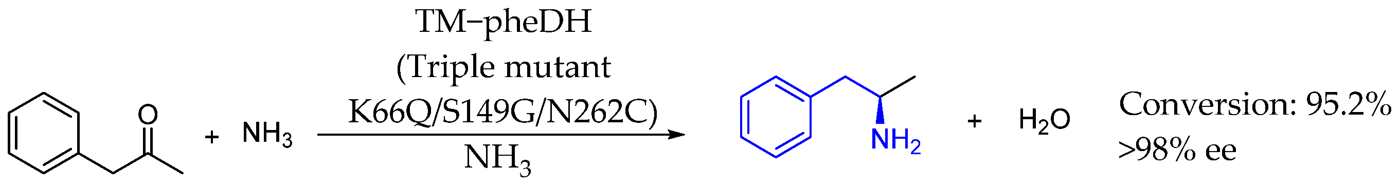 Molecules 29 05729 sch052 Molecules 29 05729 sch052