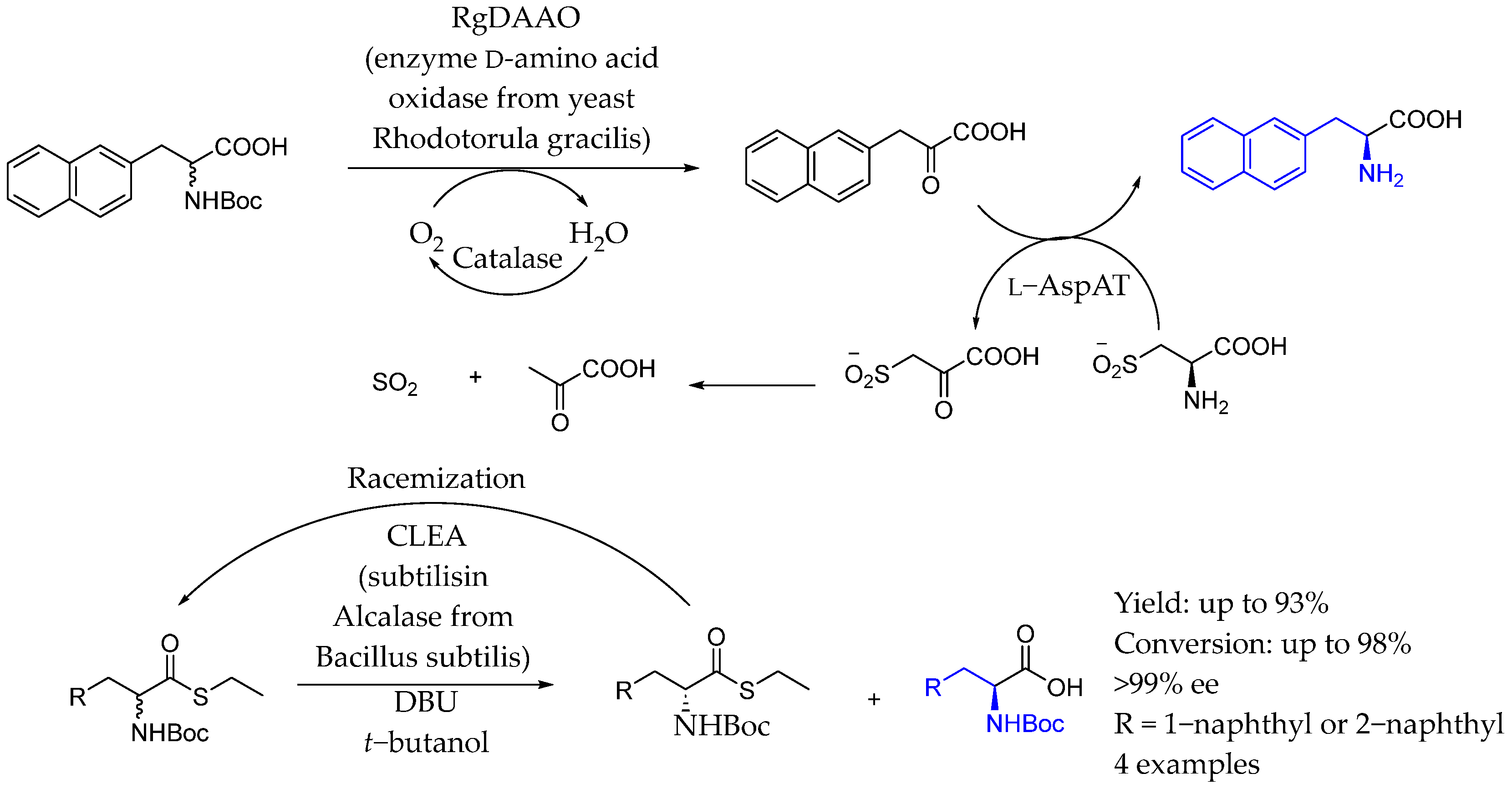 Molecules 29 05729 sch069 Molecules 29 05729 sch069