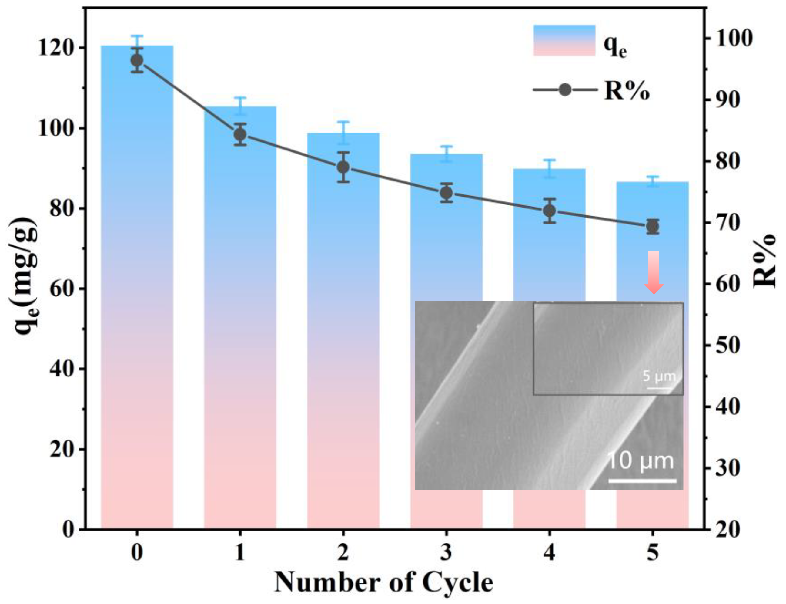 Molecules 29 05730 g014 Molecules 29 05730 g014