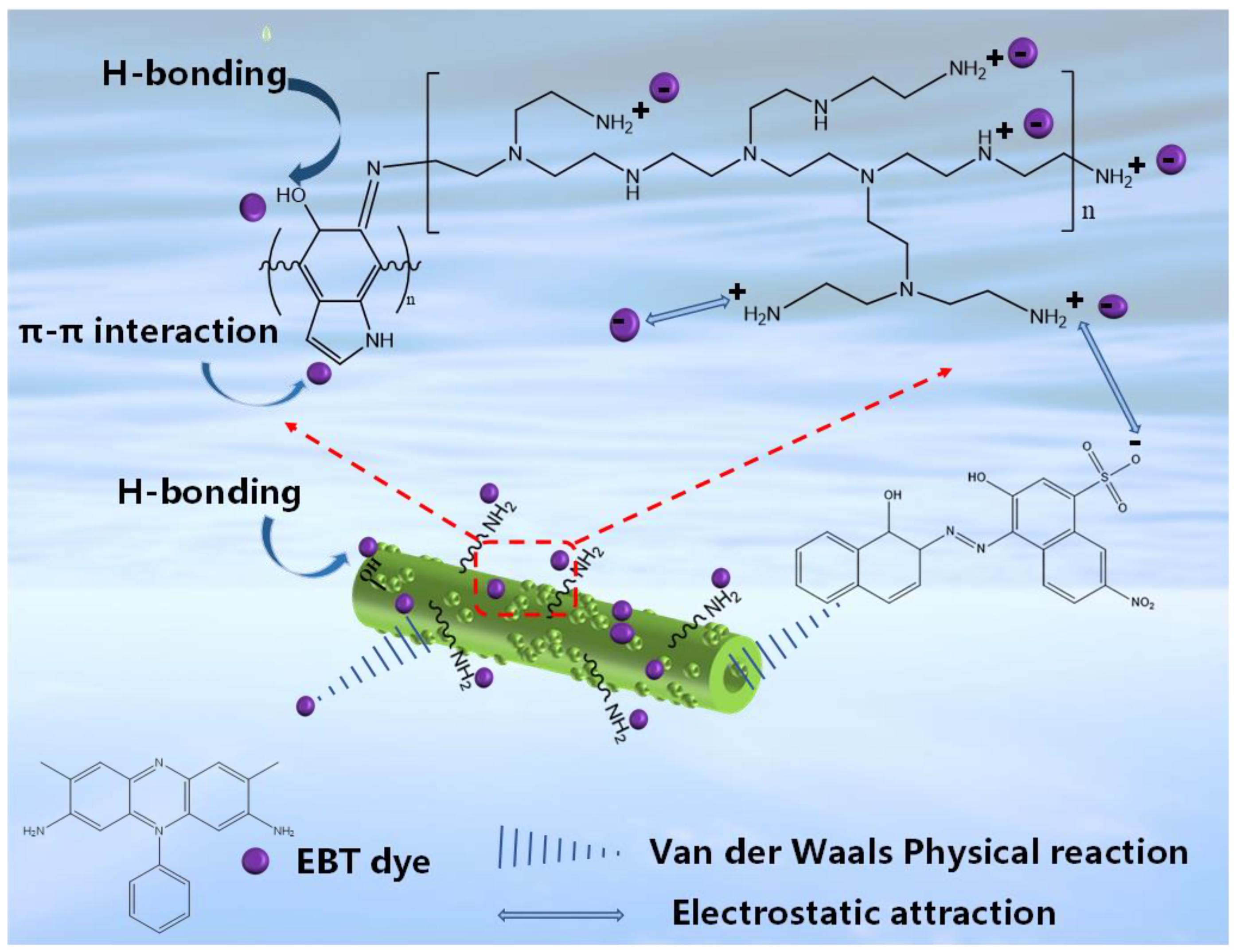 Molecules 29 05730 g016 Molecules 29 05730 g016