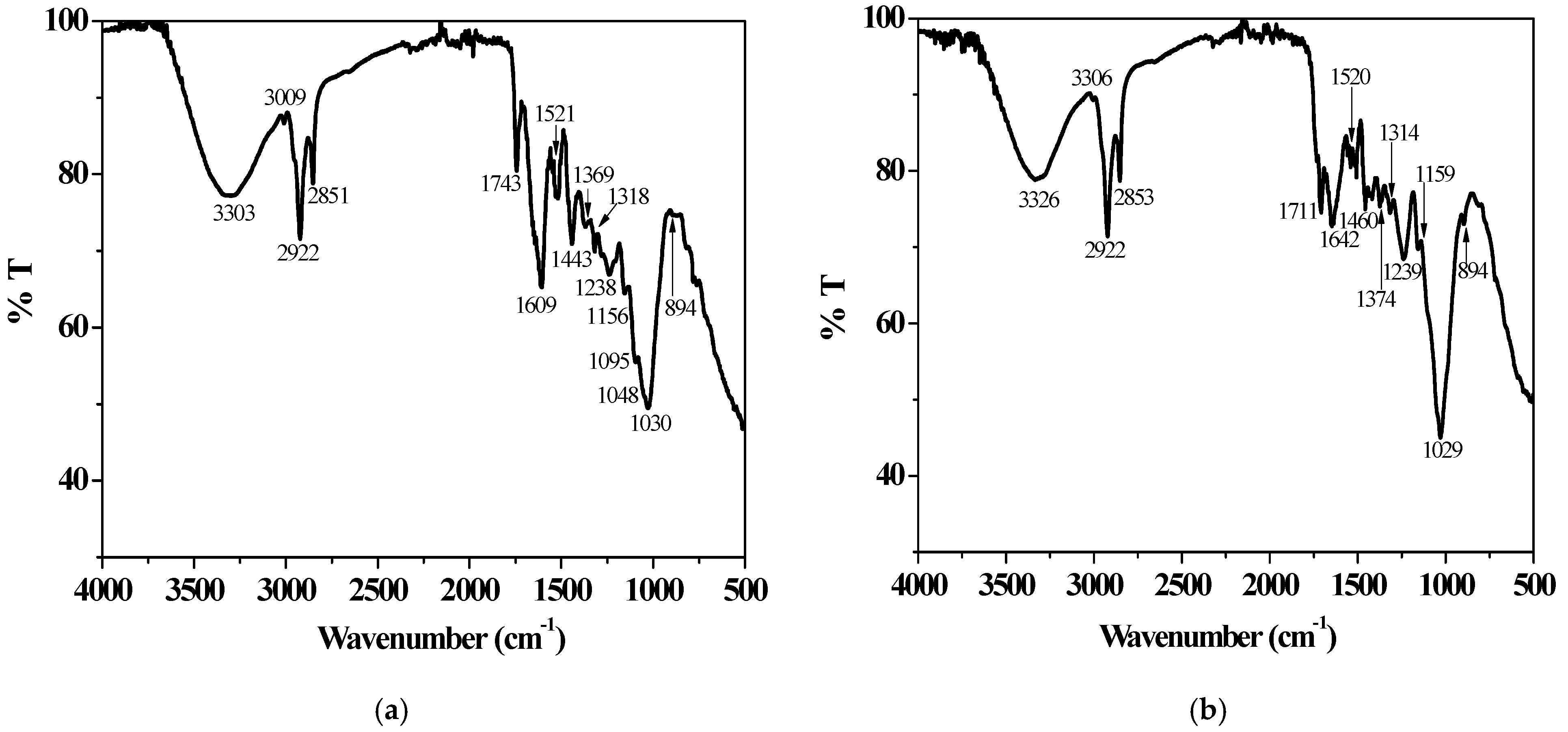 Molecules 29 05735 g001 Molecules 29 05735 g001