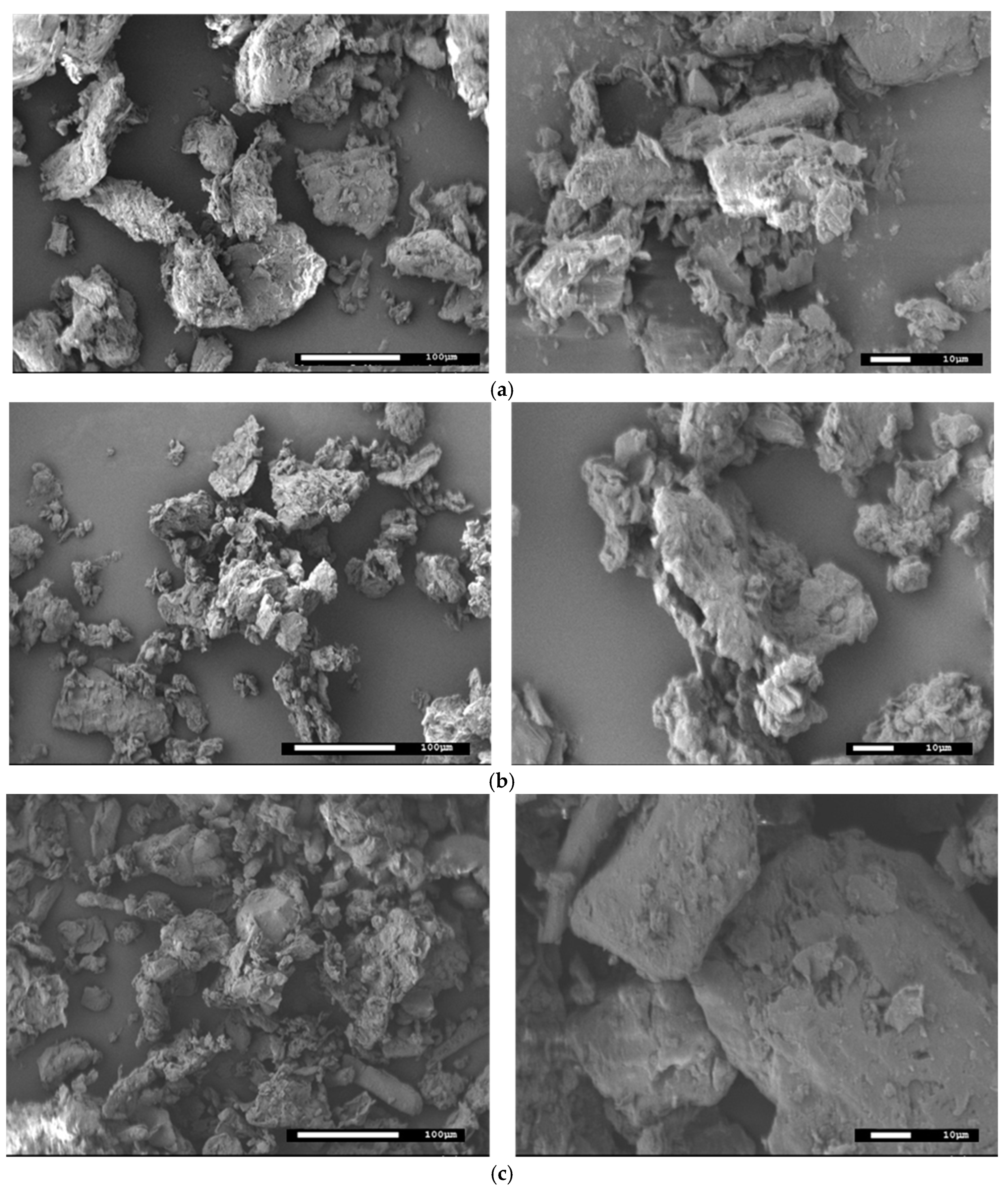 Molecules 29 05735 g003 Molecules 29 05735 g003