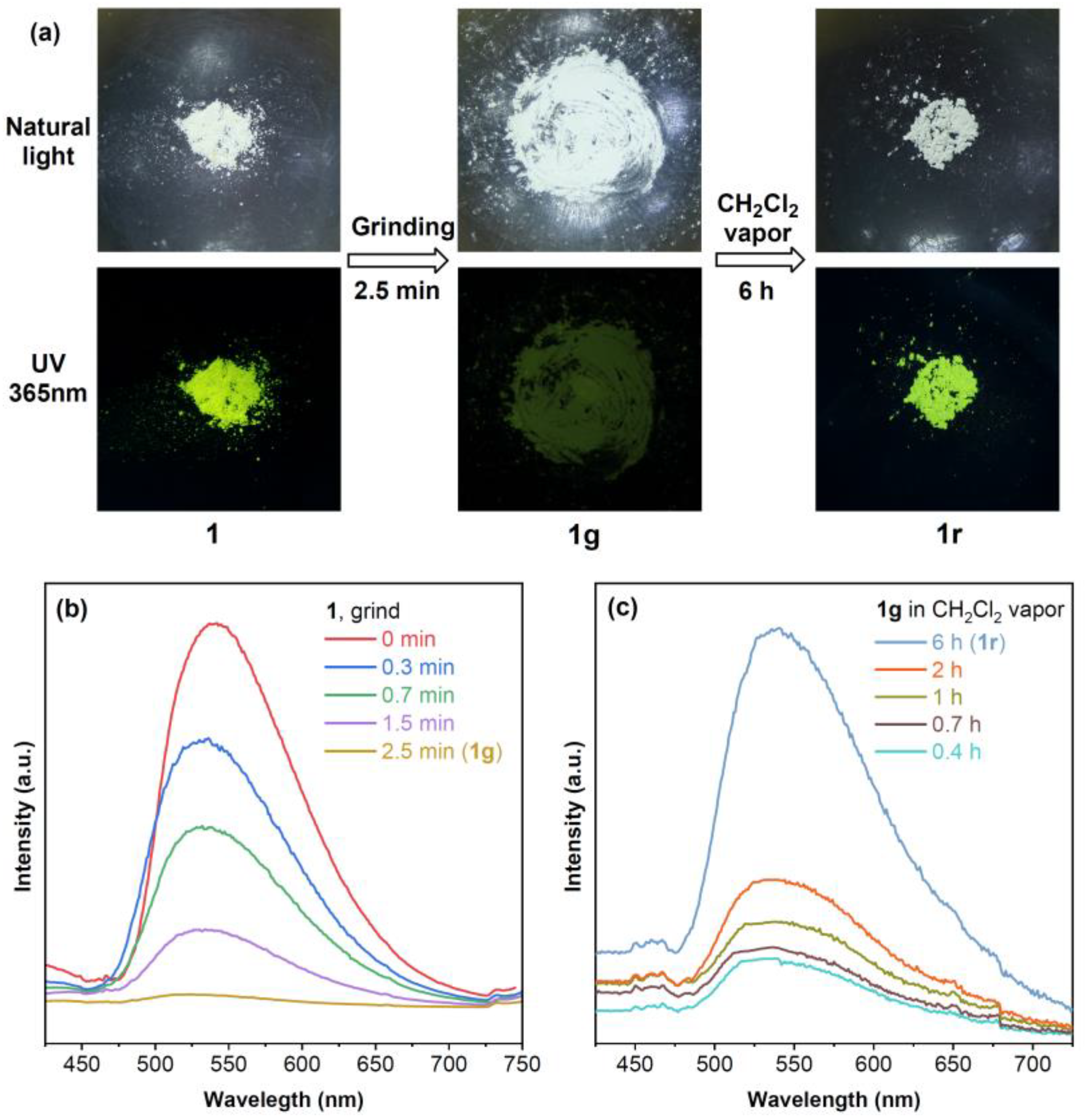 Molecules 29 05736 g004 Molecules 29 05736 g004