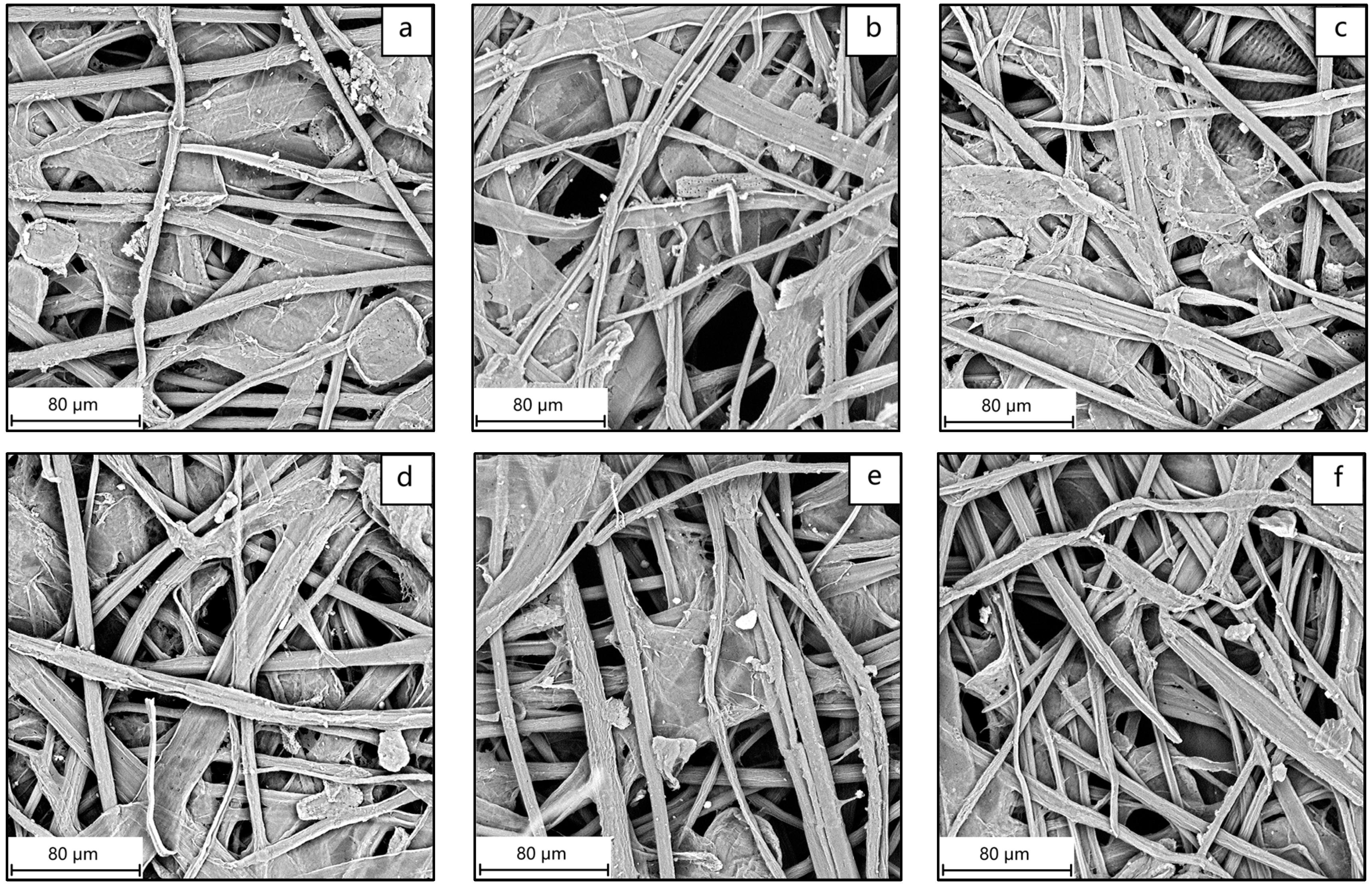 Molecules 29 05741 g004