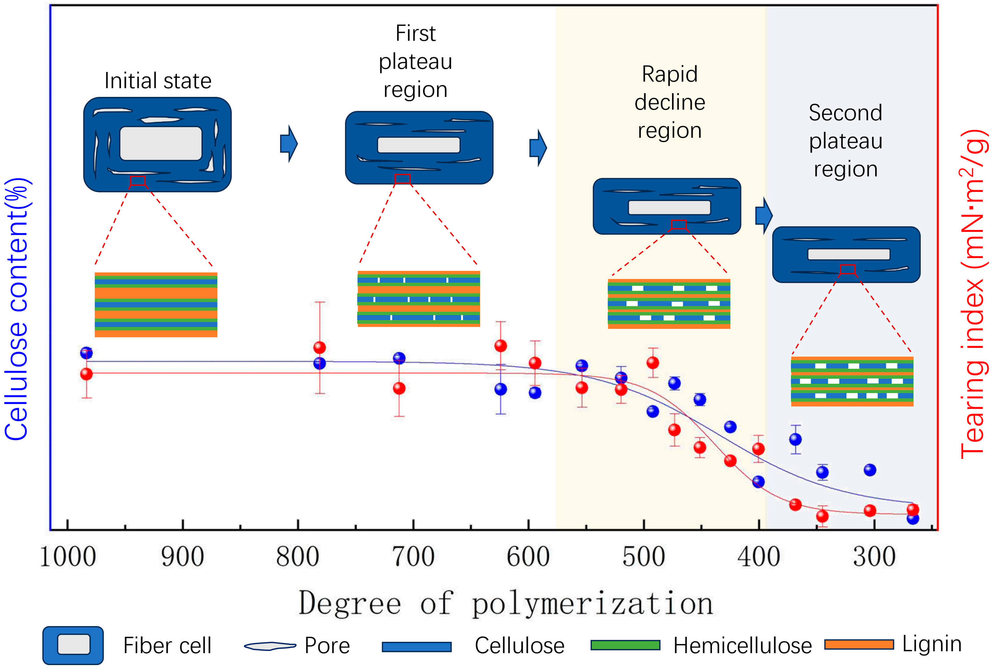 Molecules 29 05741 g006