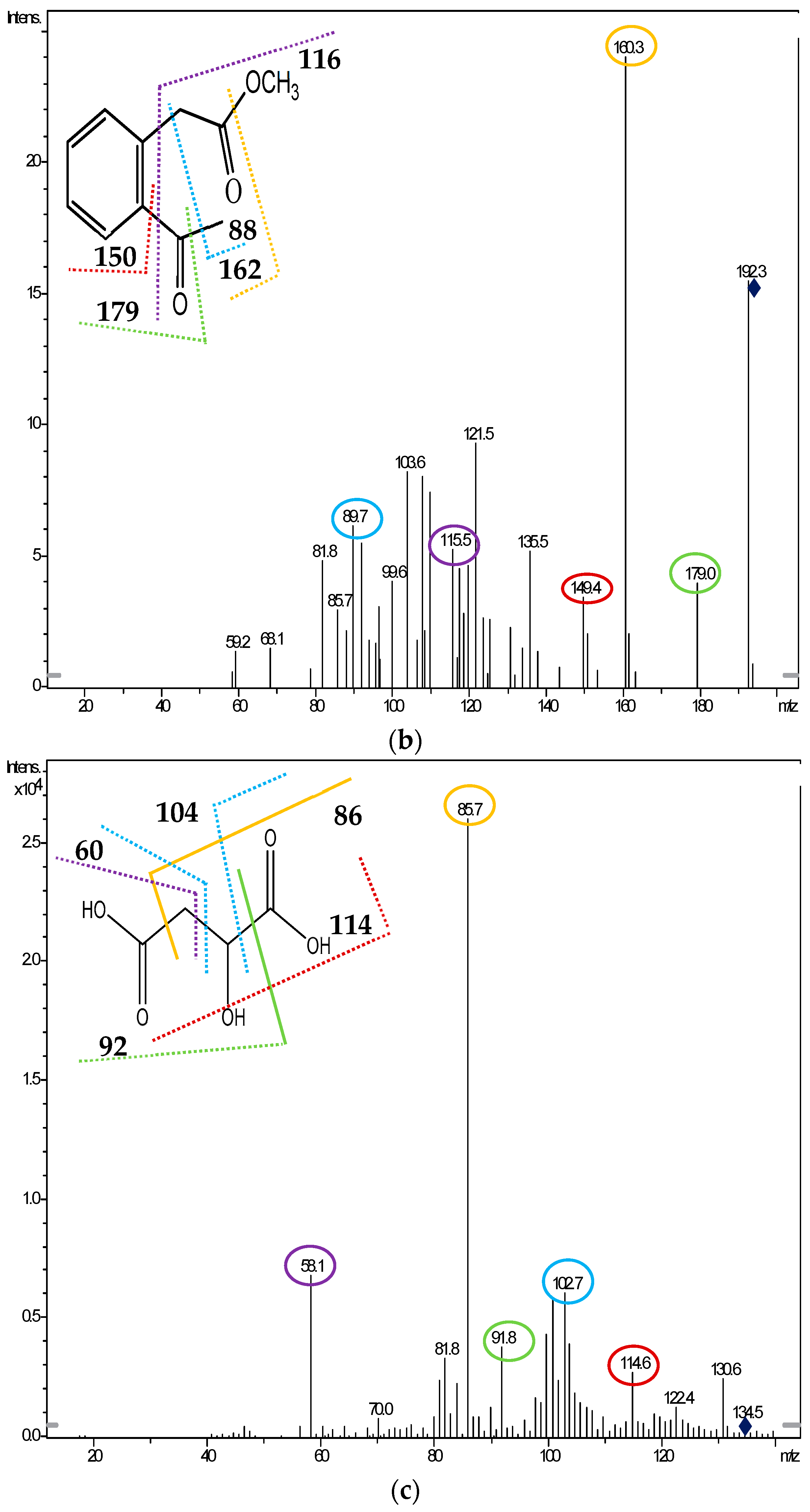 Molecules 29 05752 g004b