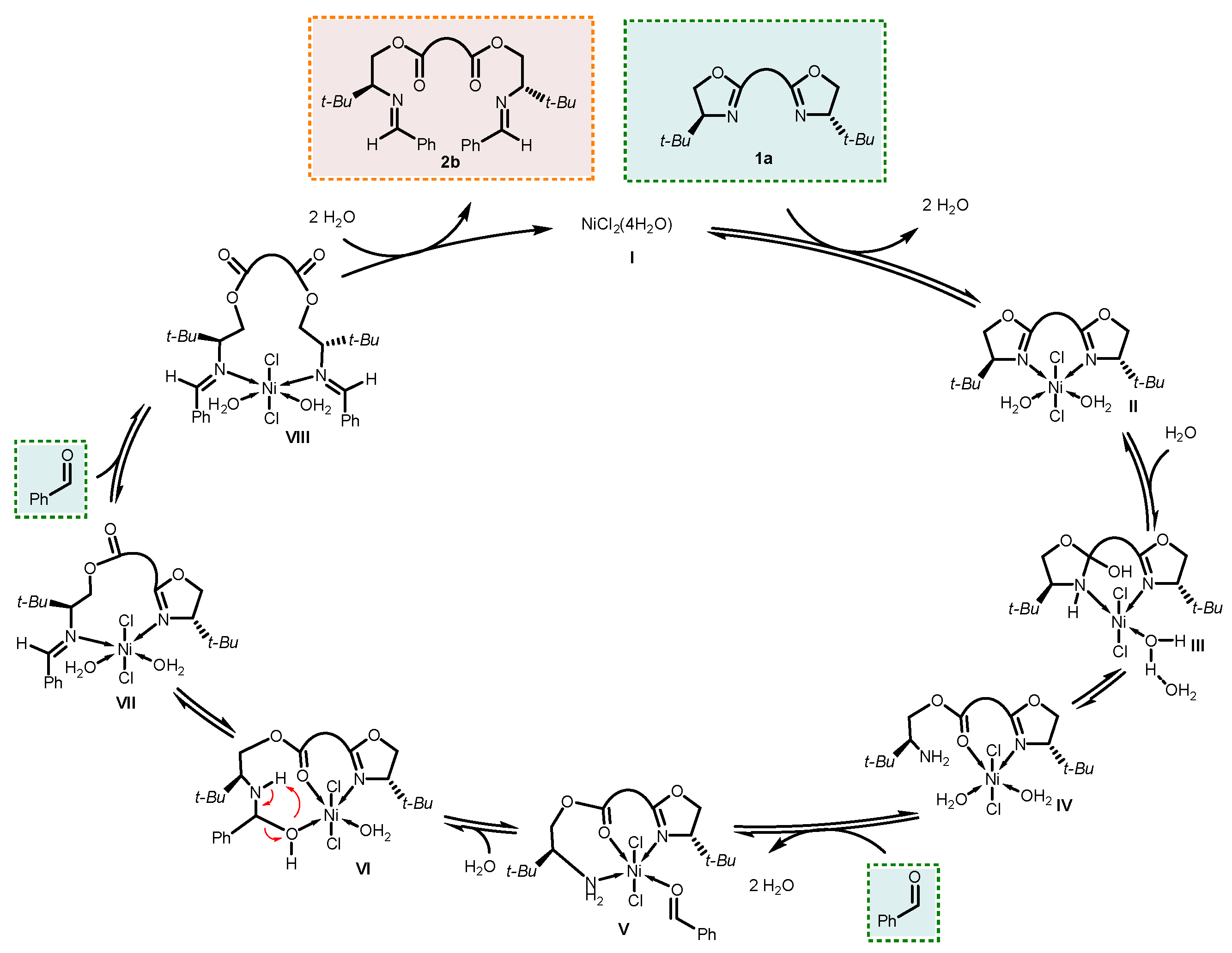Molecules 29 05756 sch006